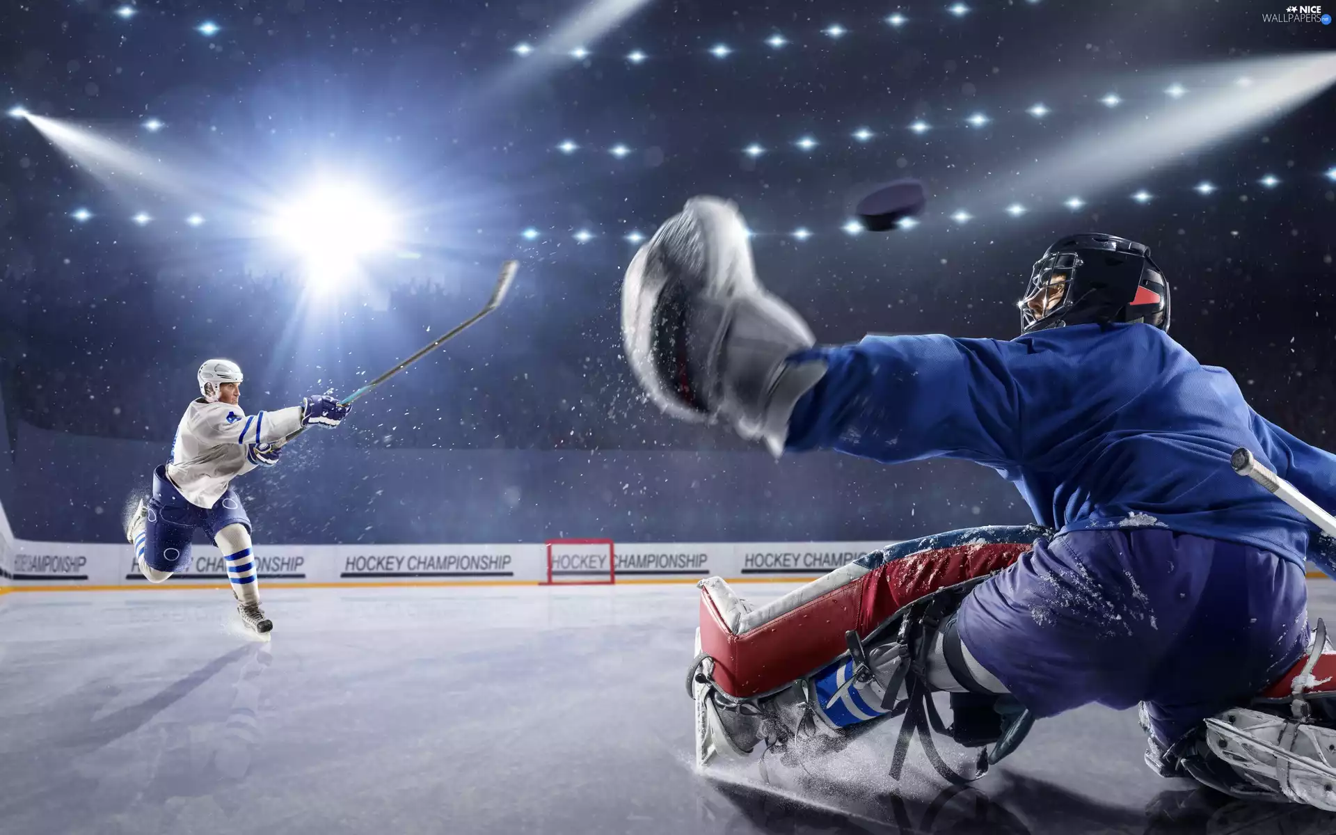 goalkeeper, hockey, light, ice rink, attacker, players