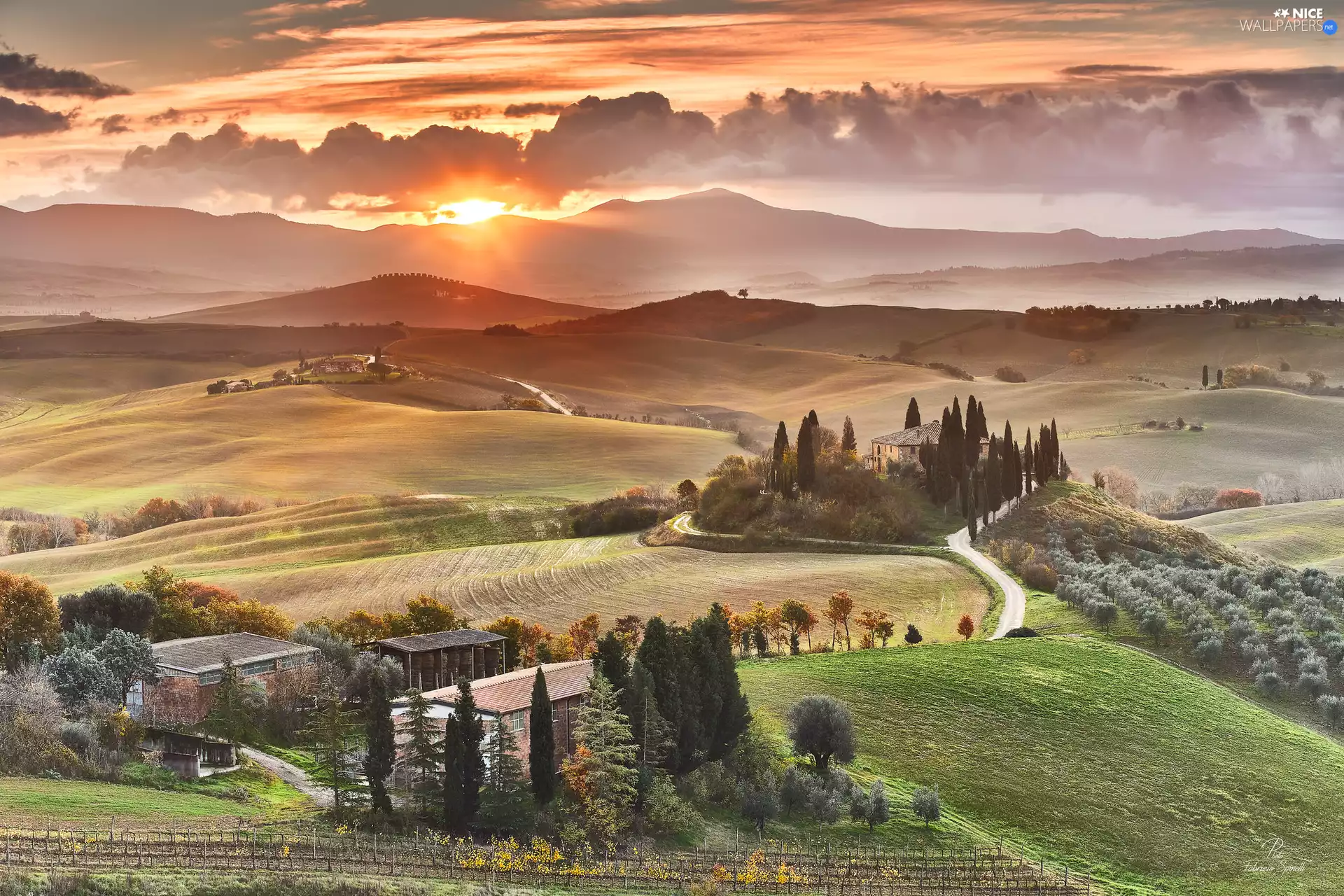 cypresses, The Hills, Tuscany, Way, Sunrise, Houses, Italy