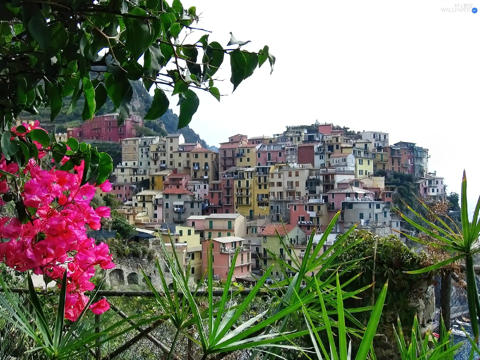 Houses, The Rocks, Italy, an