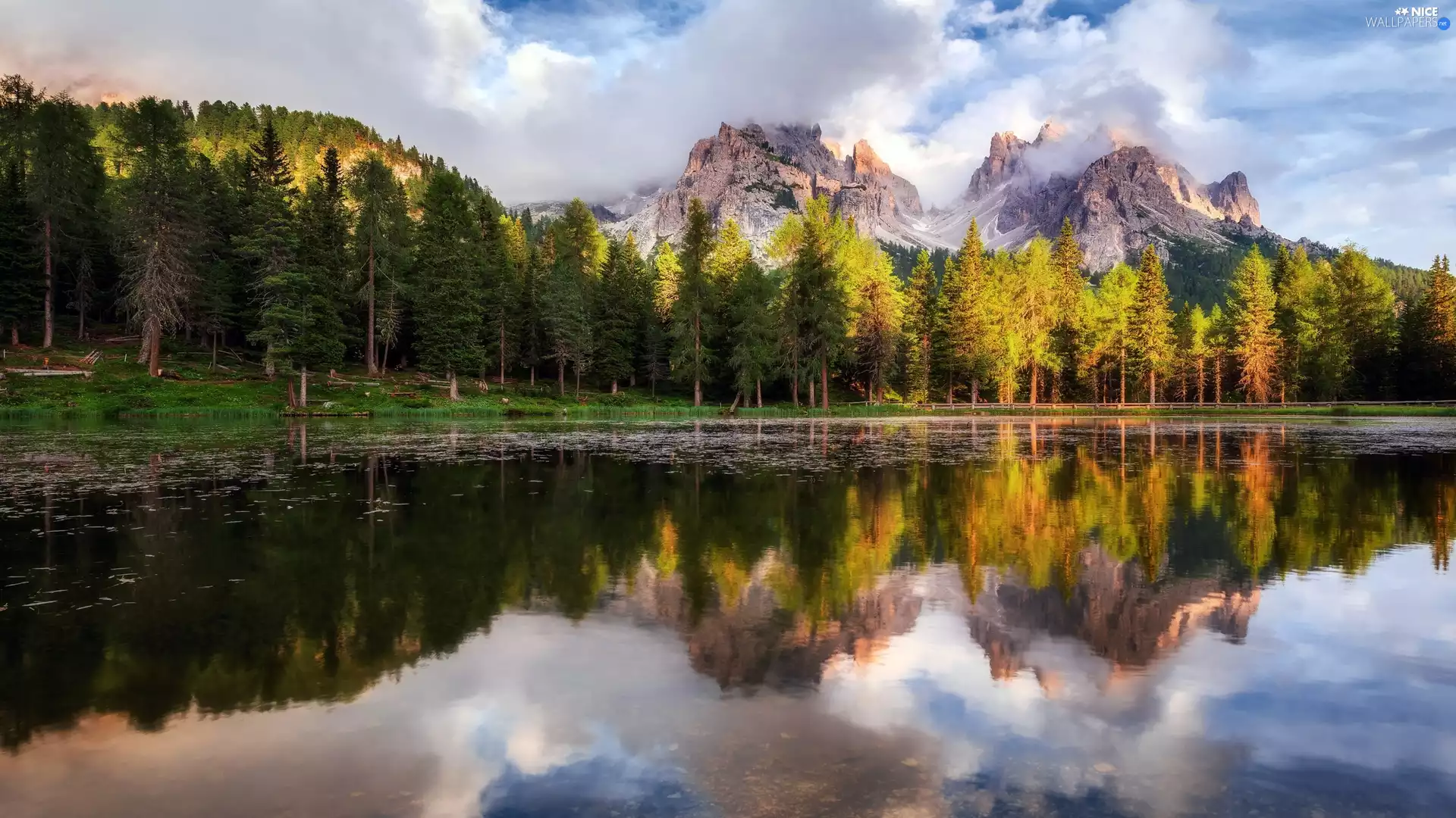forest, Dolomites Mountains, trees, viewes, clouds, reflection, Cadore Region, Italy, Antorno Lake