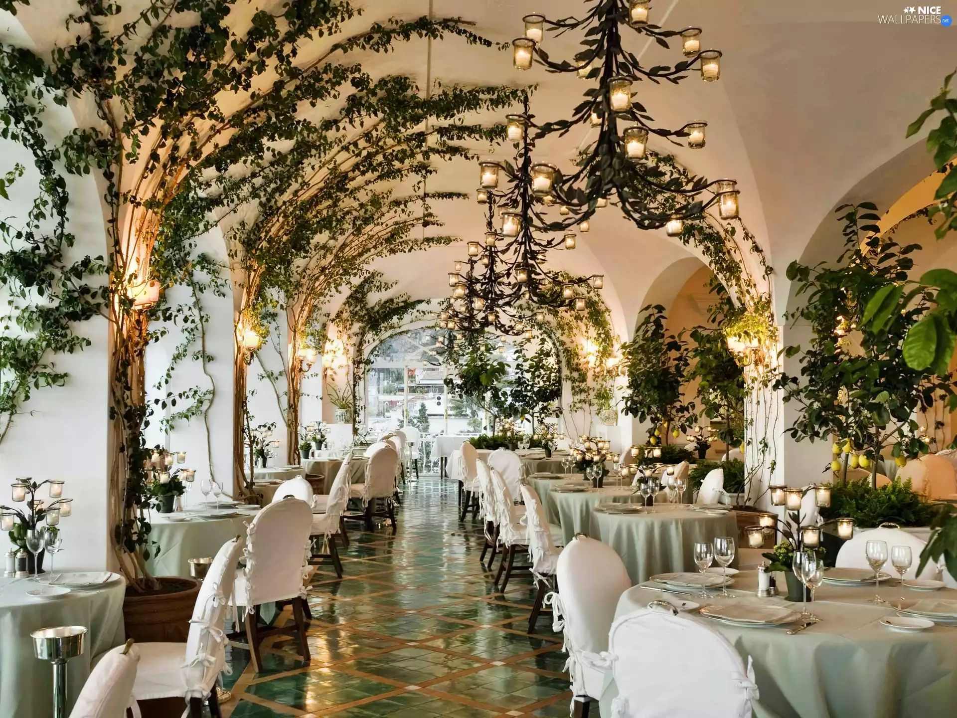 ivy, Restaurant, bows