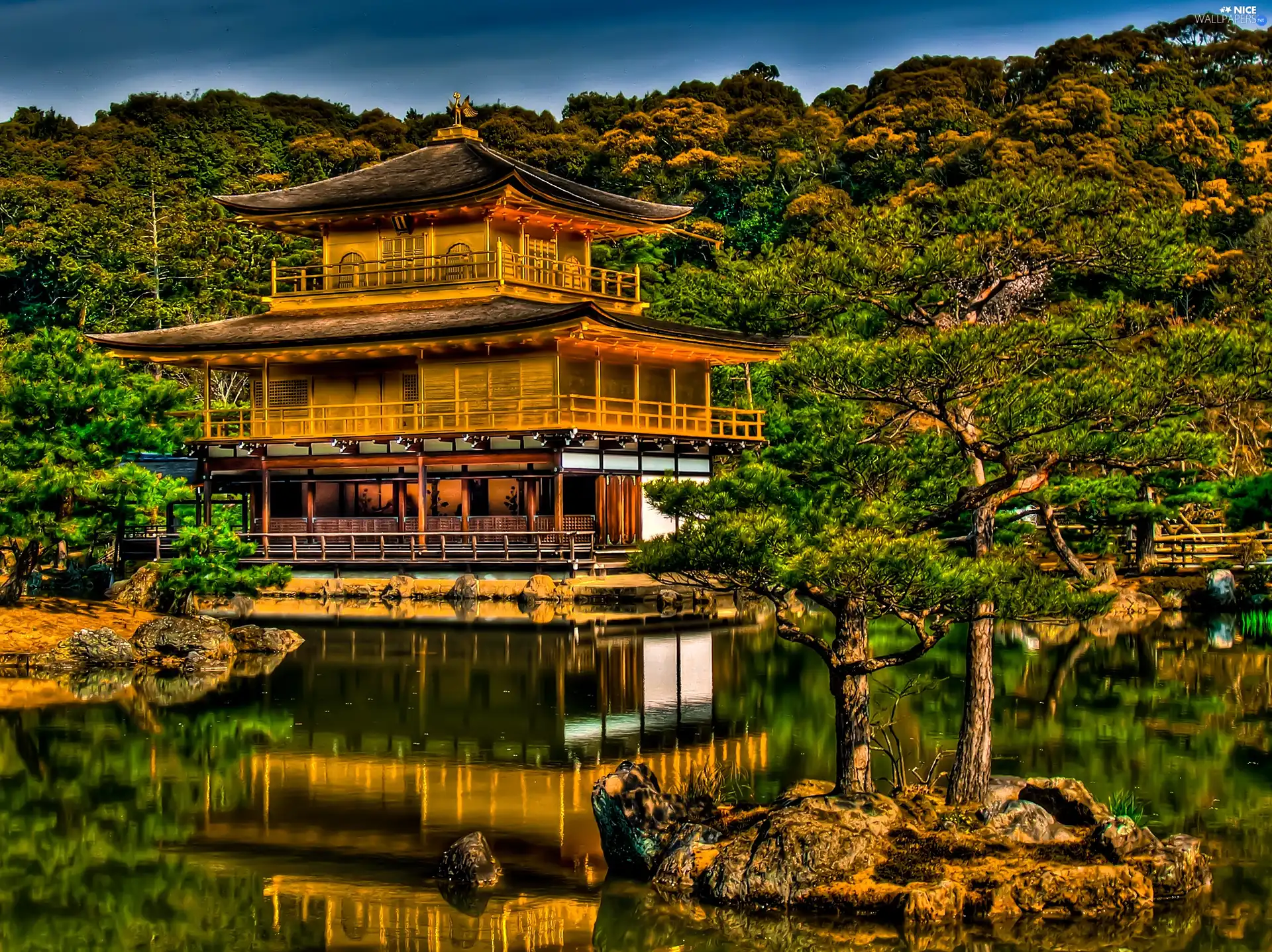 trees, lake, Japan, viewes