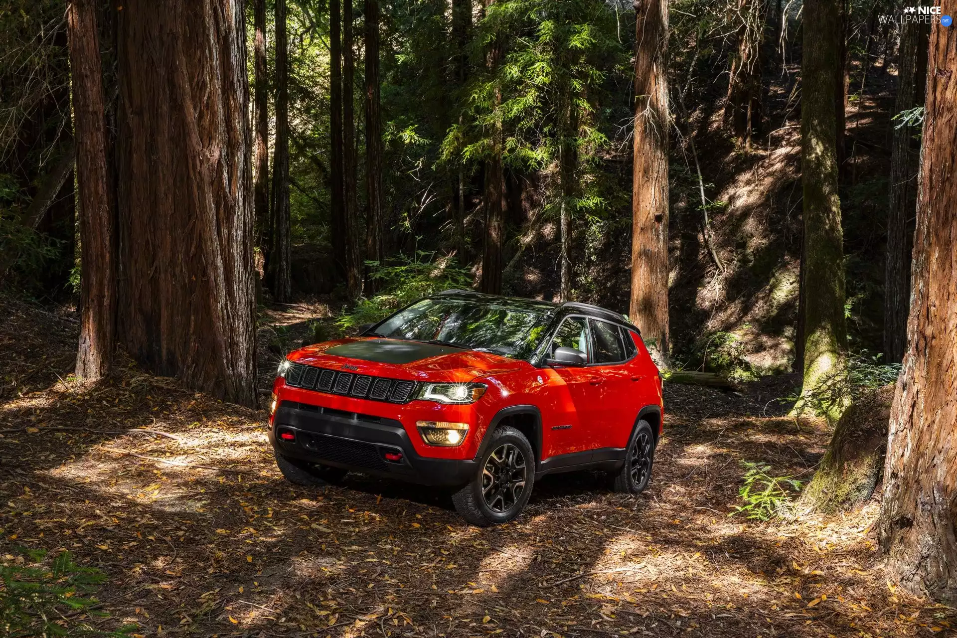 Red, 2017, forest, Jeep Compass Trailhawk
