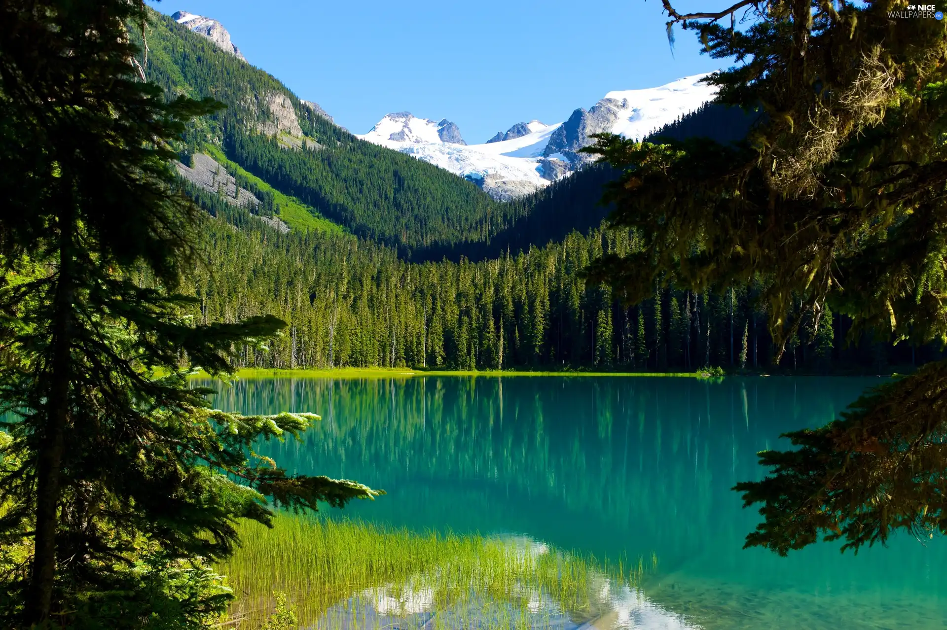 Joffre, Canada, woods, Mountains, lake