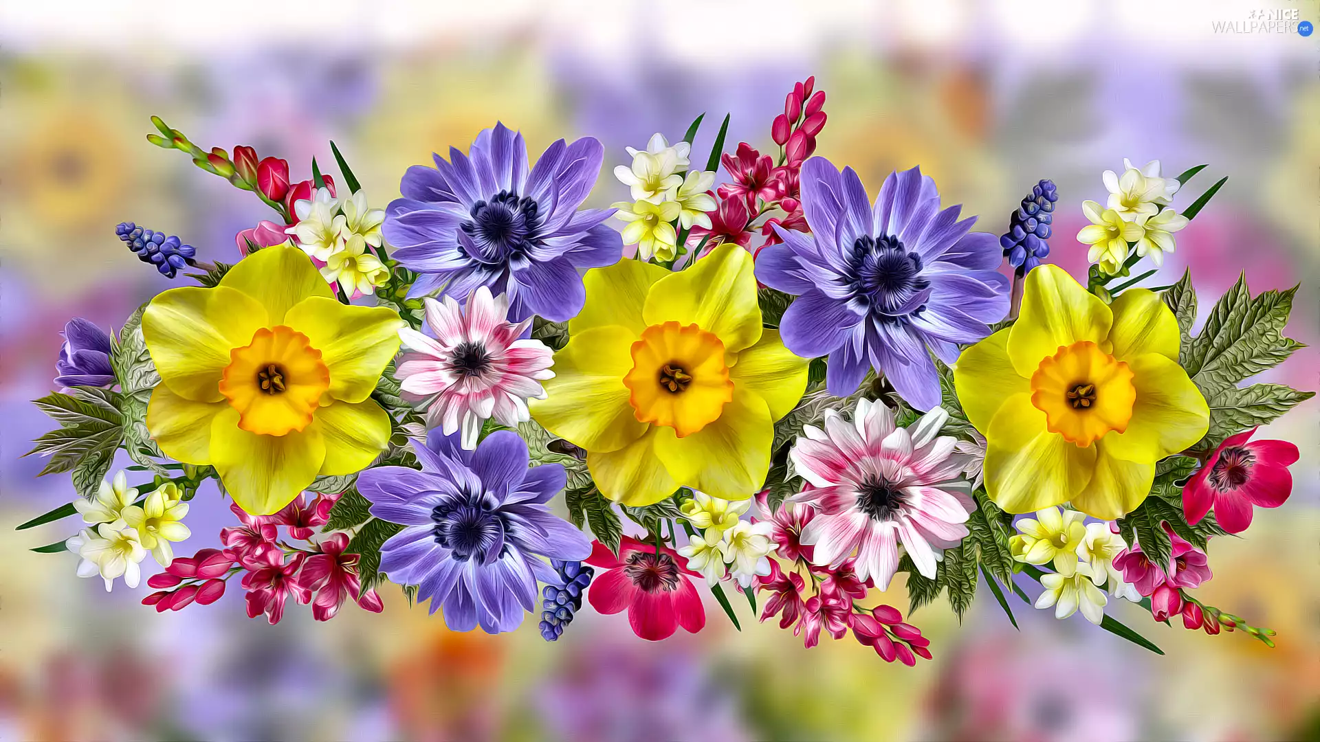 Flowers, Anemones, graphics, Jonquil
