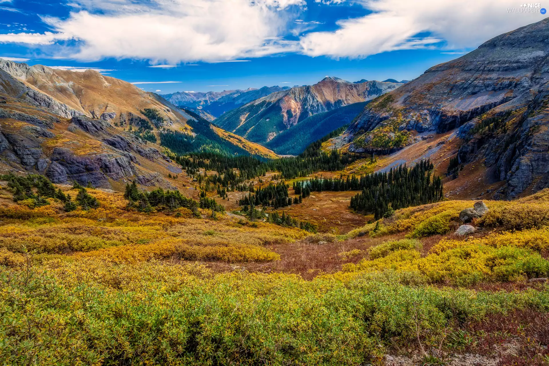 San Juan County, The United States, forest, clouds, San Juan Mountains, Colorado
