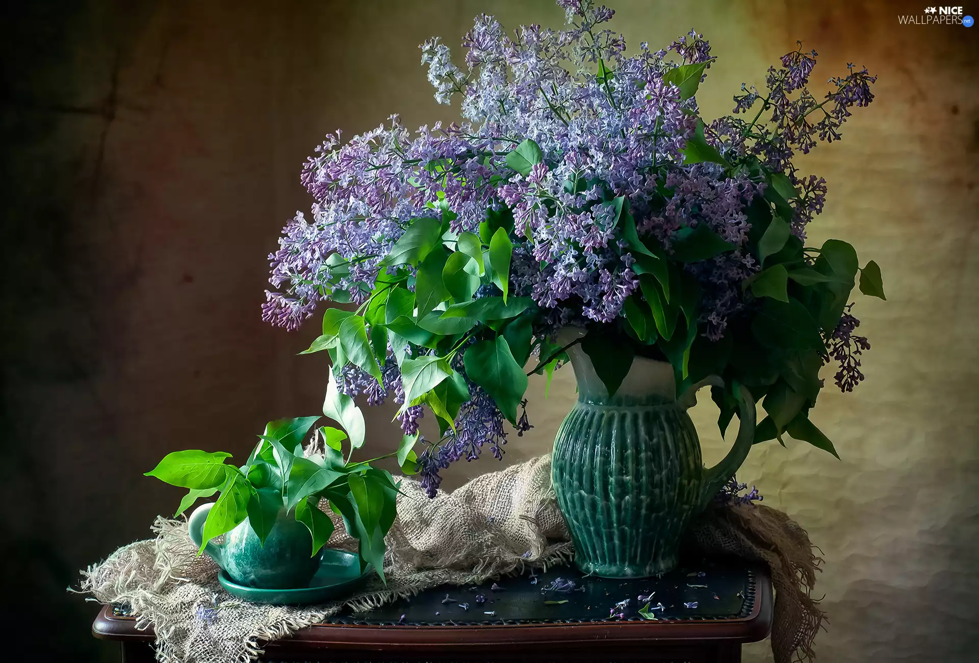 Leaf, jug, without, jug, Flowers