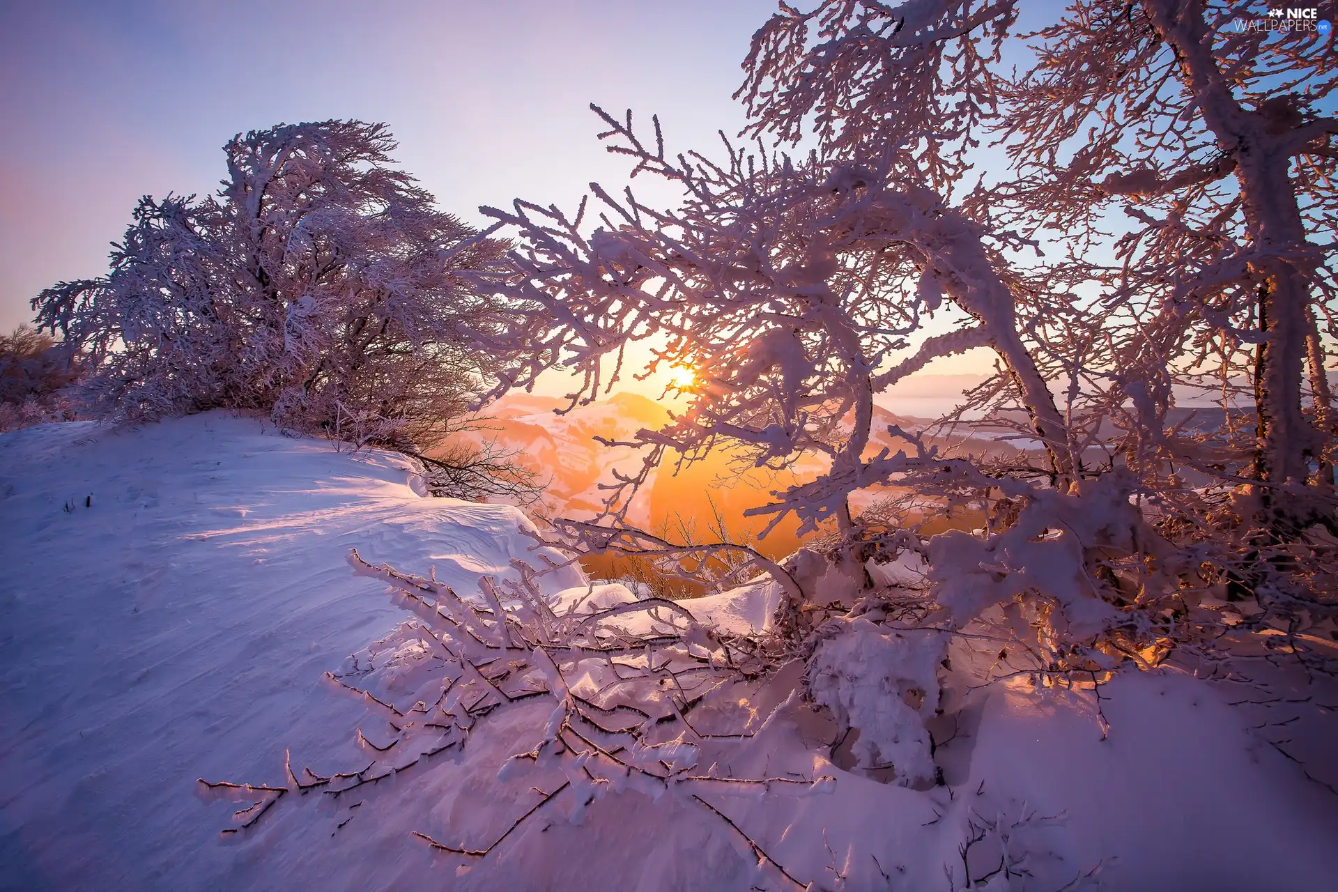 Jura Mountains, winter, viewes, Sunrise, trees, Alps, Switzerland, Snowy