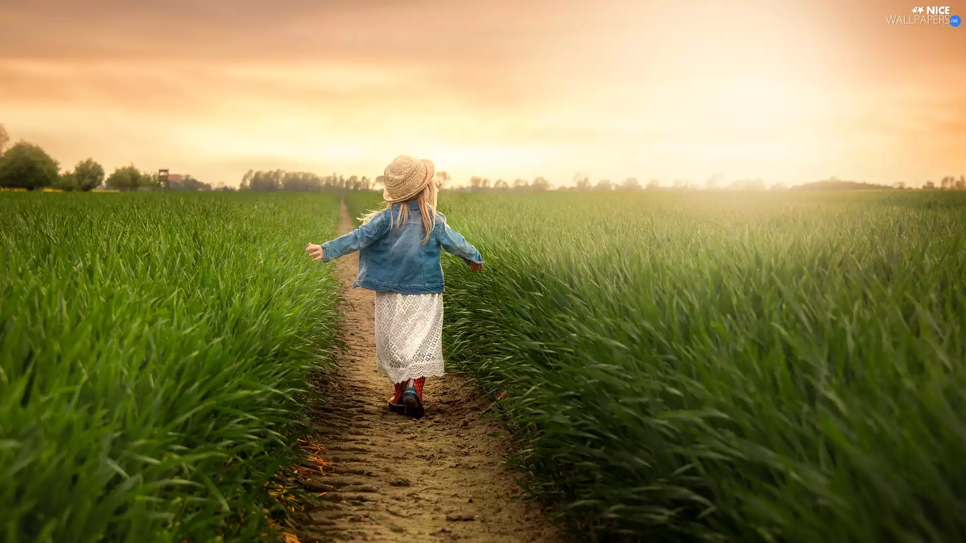katana, White, Great Sunsets, dress, Field, Hat, girl, Path