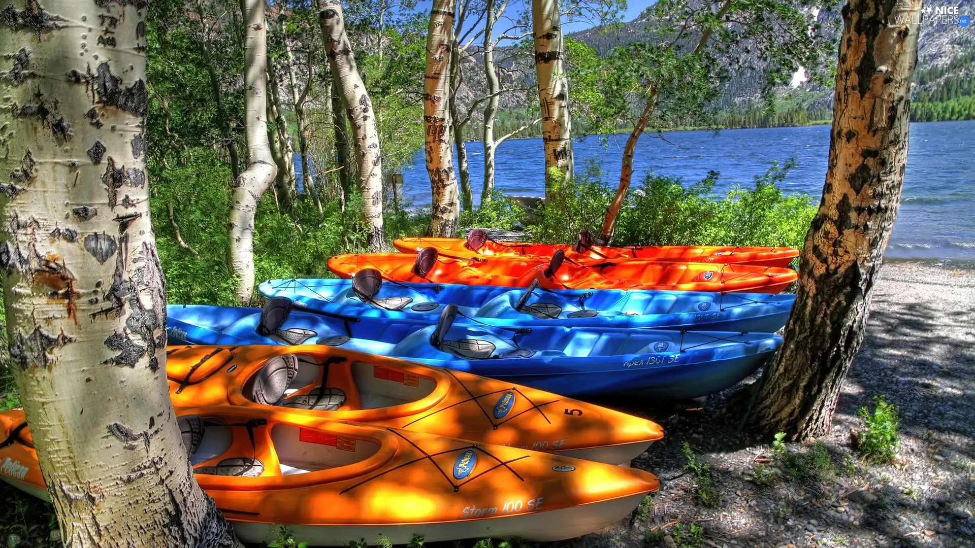 Kayaks, birch, River