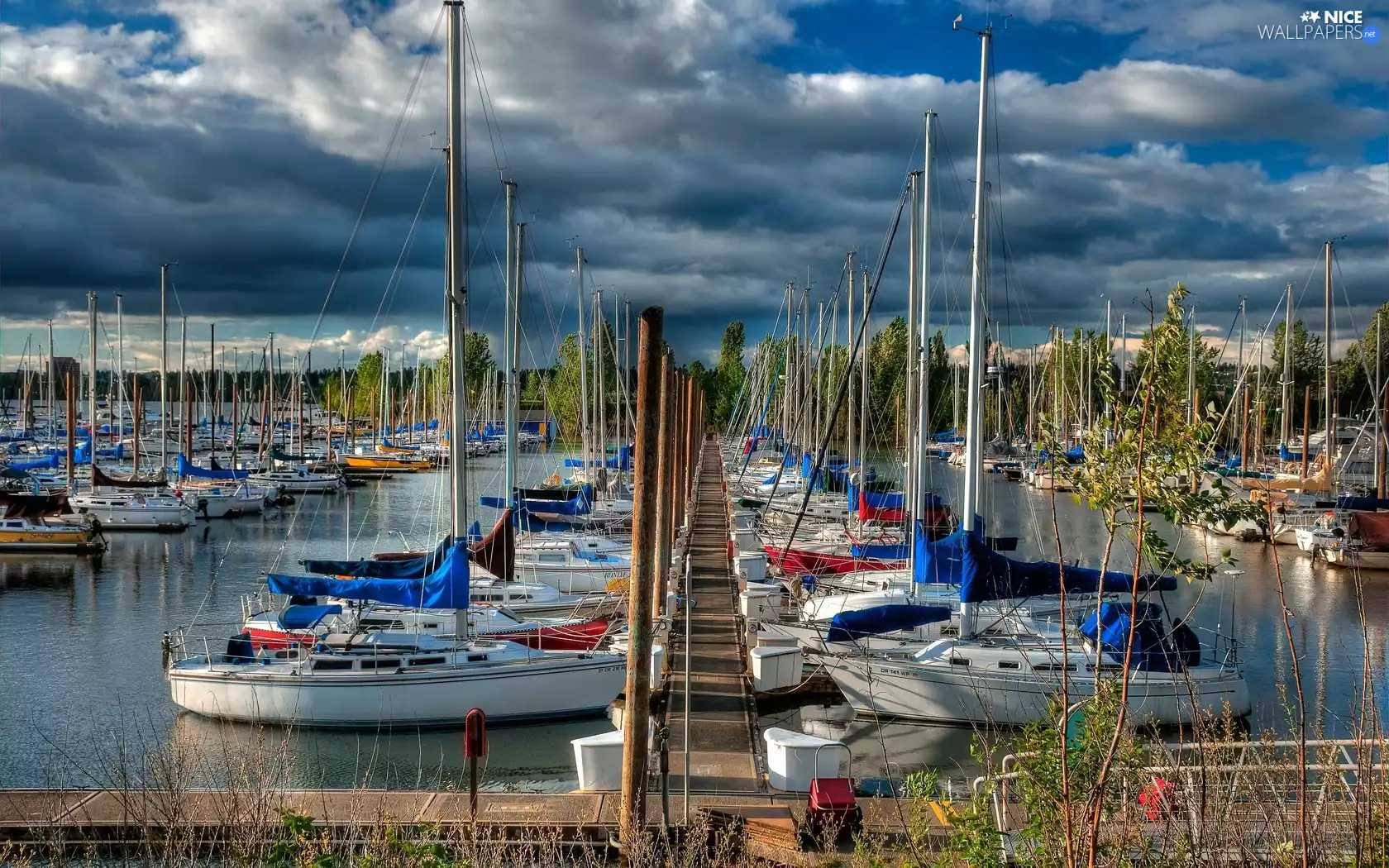 Keja, Yachts, Harbour