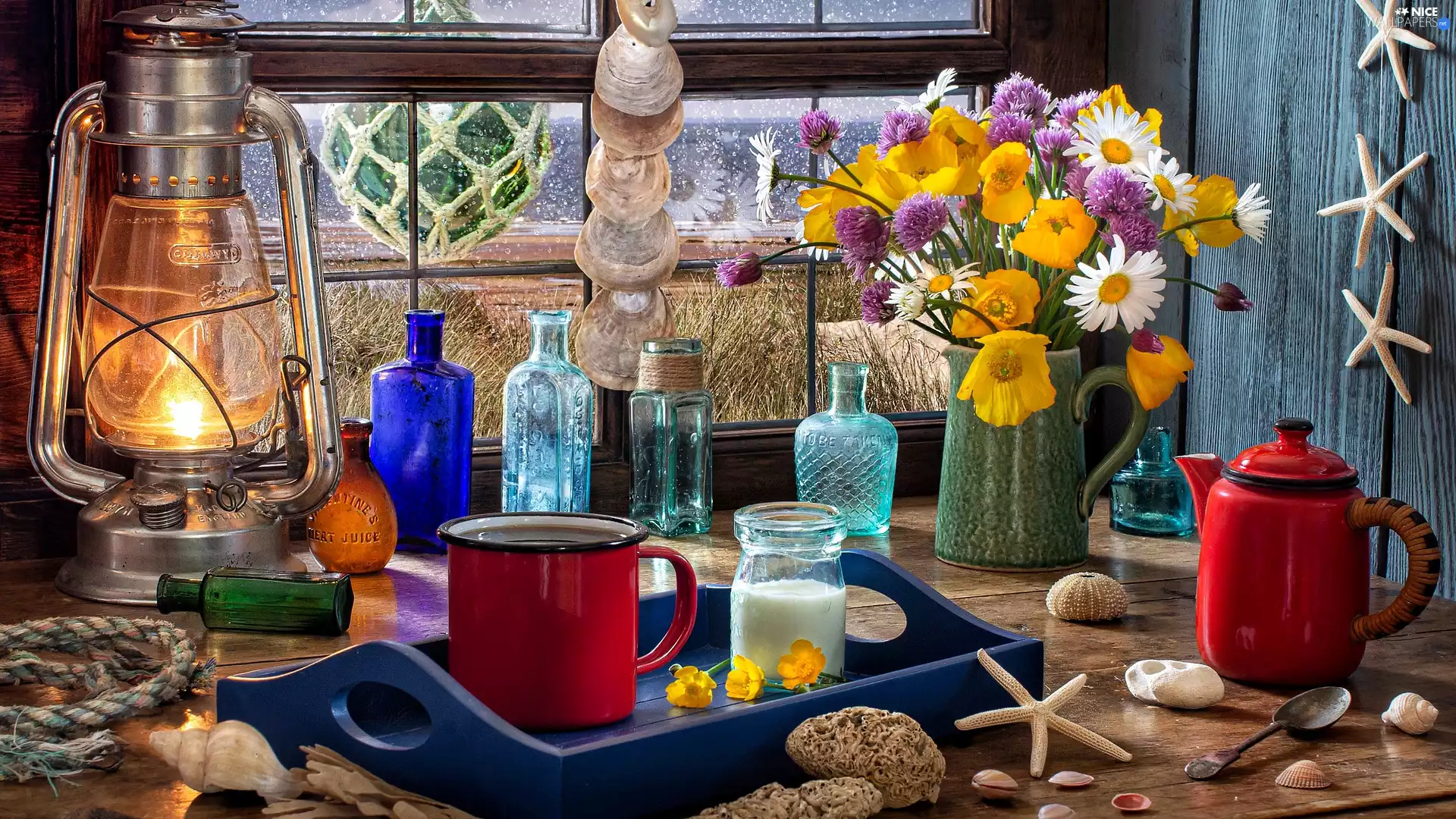 mug, daisy, Bottles, jug, composition, starfish, Oil Lamp, kettle, Flowers, Window, Tray, Shells, papavers