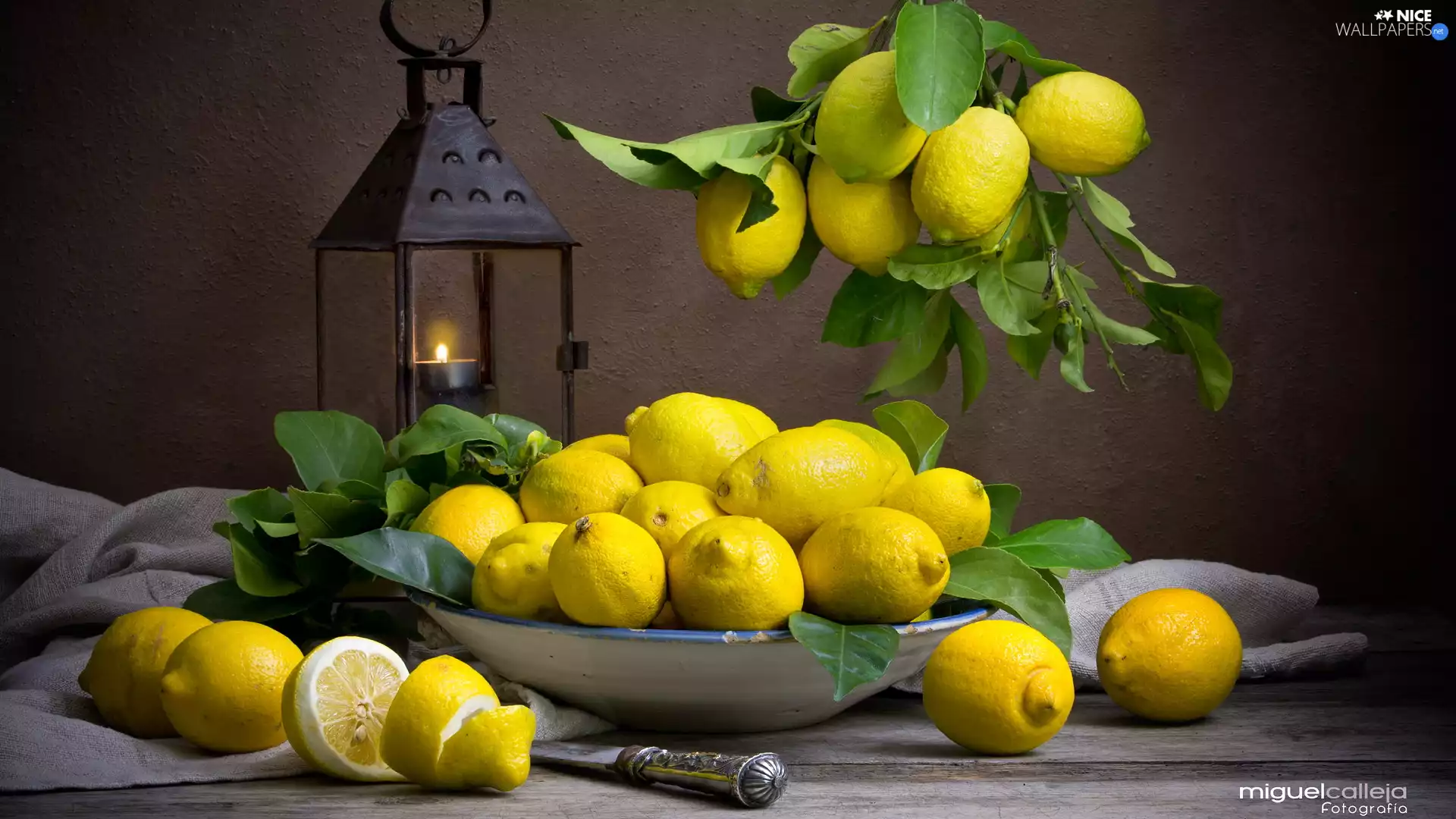 bowl, knife, lemons, lantern, composition