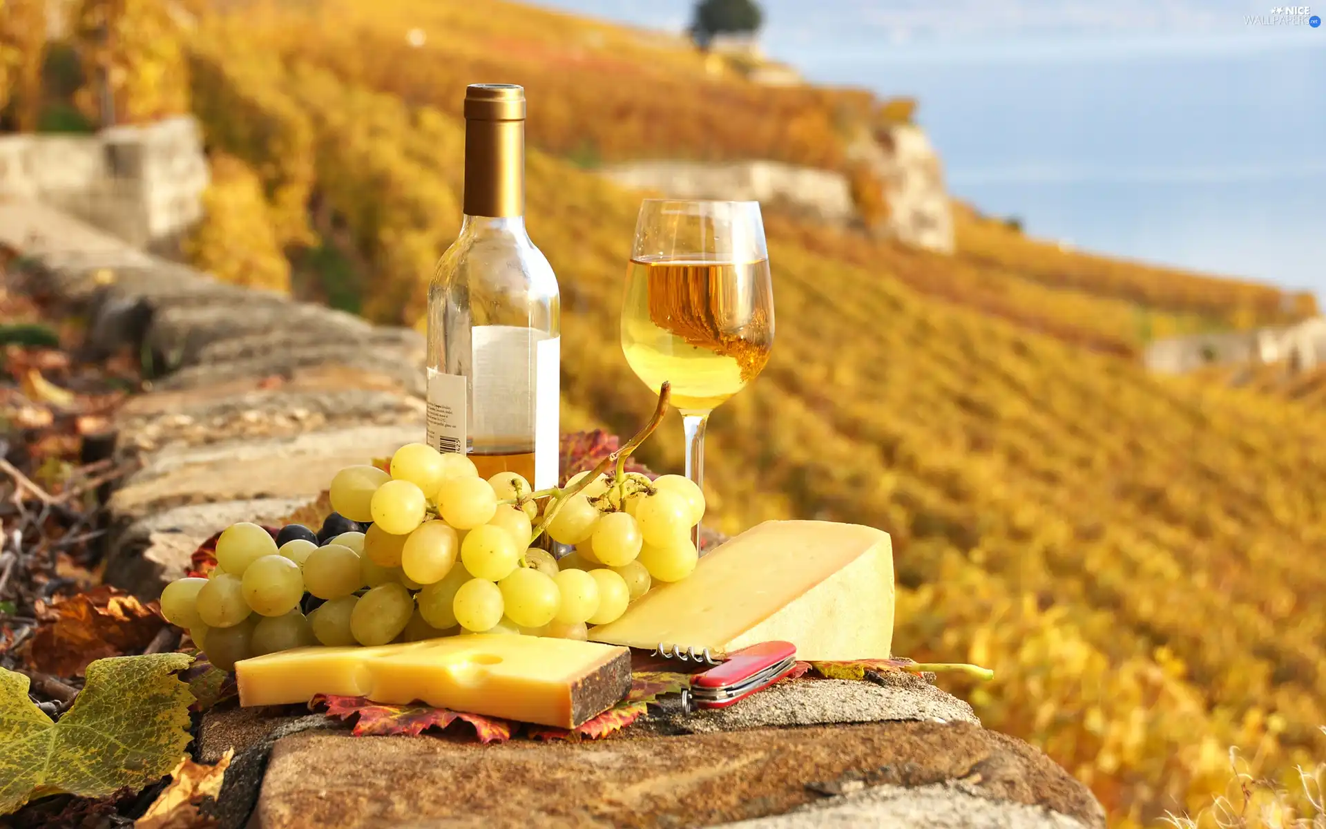 knife, Wine, cheese, Yellow, Grapes