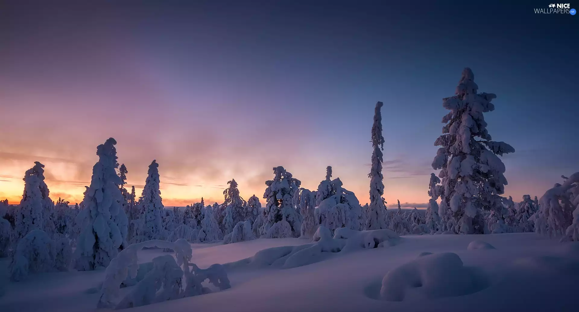 Kuertunturi Hill, winter, Great Sunsets, Snowy, viewes, Lapland, Finland, trees