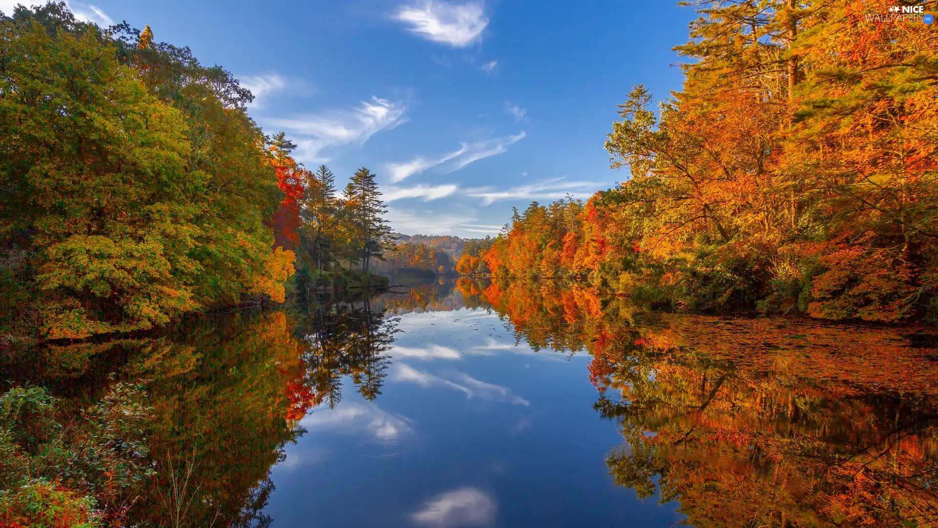 lake, North Carolina, trees, forest, The United States, autumn, viewes