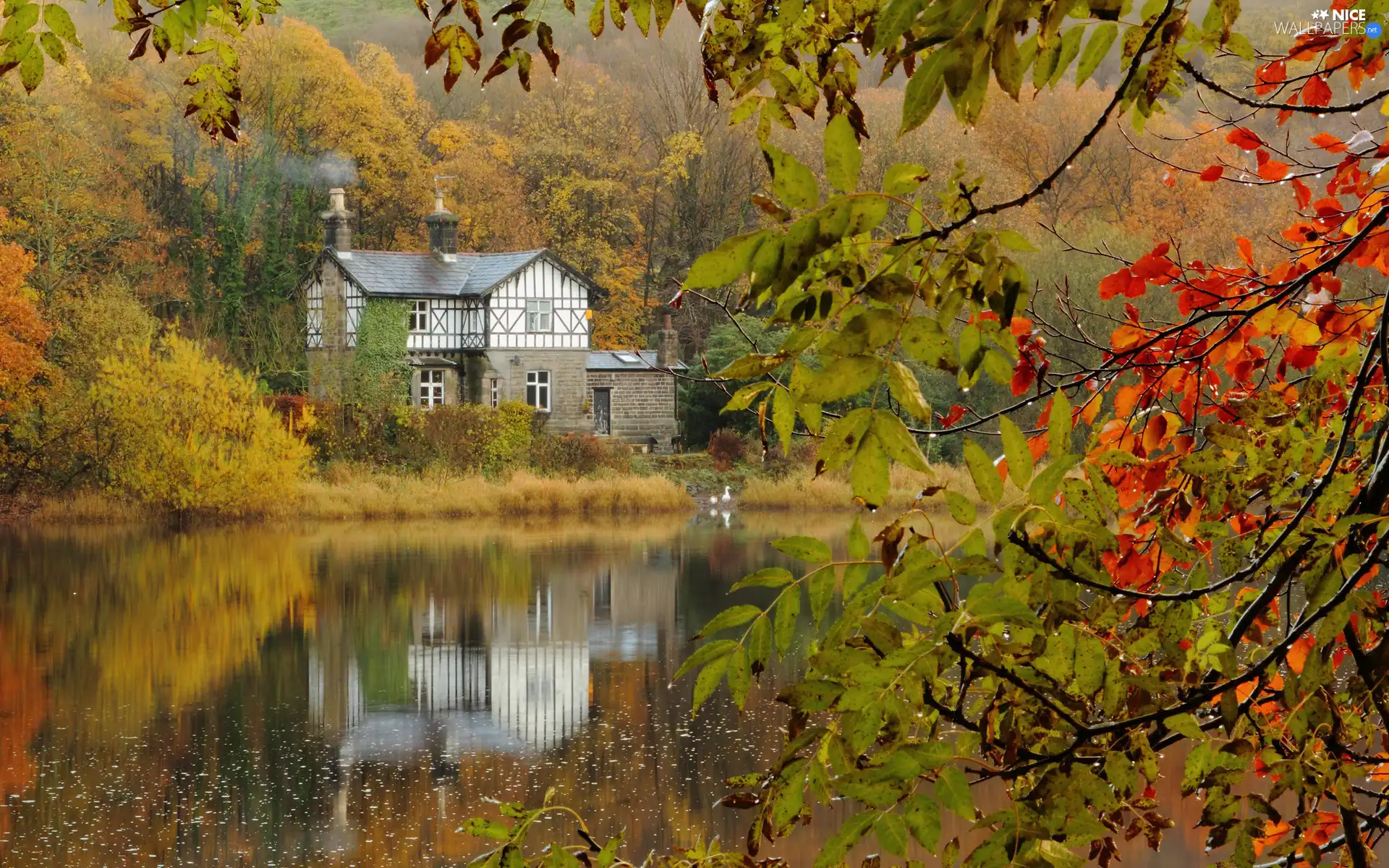 autumn, house, lake, woods