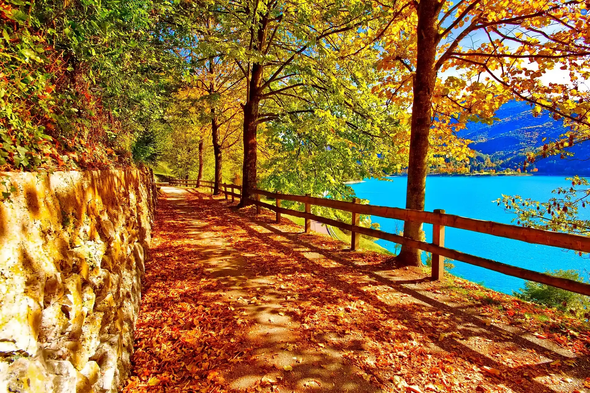 lake, autumn, trees, viewes, Way