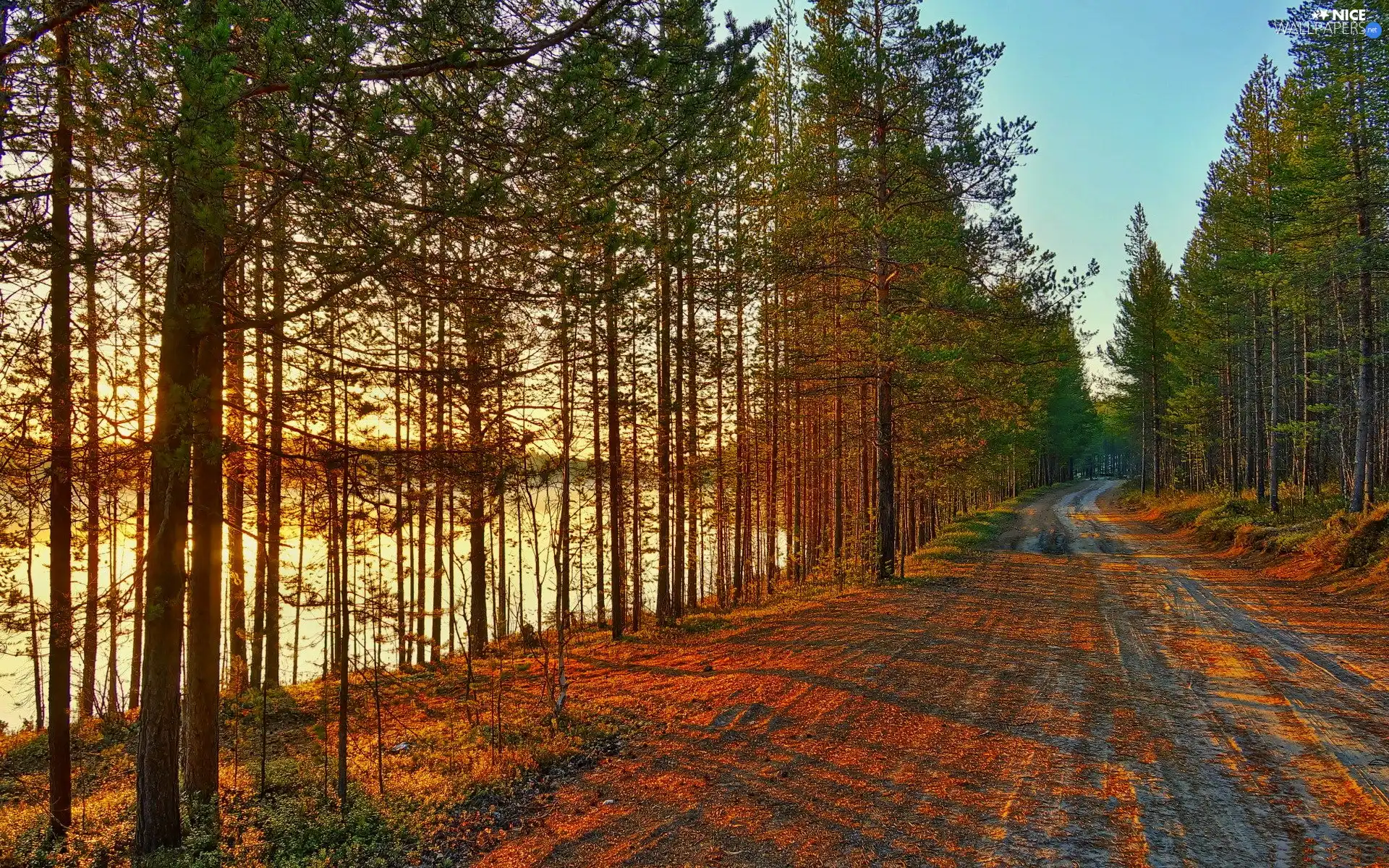 lake, autumn, trees, viewes, Way