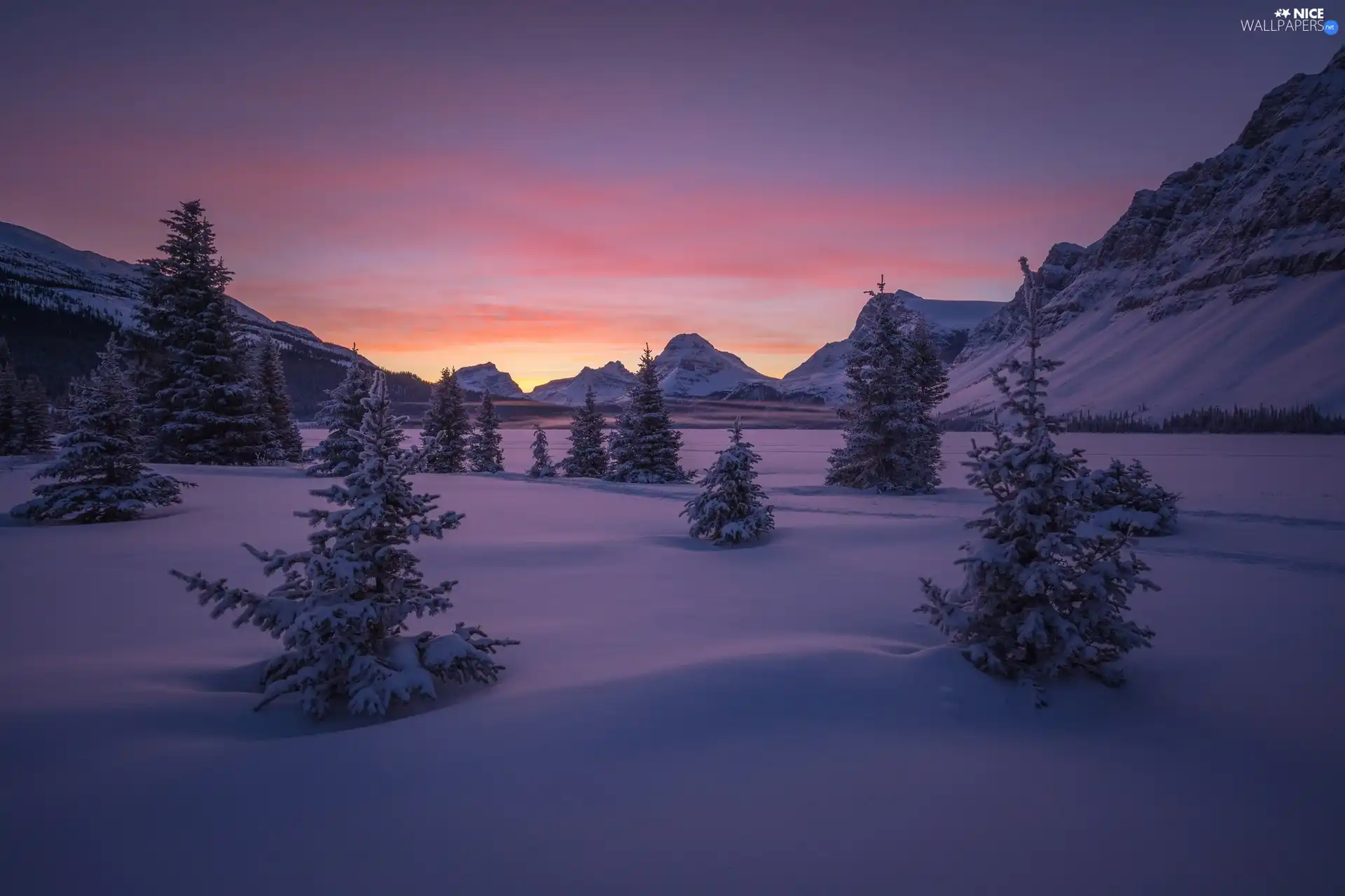 Crowfoot Mountain, Canada, winter, Mountains, Bow Lake, viewes, trees, Banff National Park, Alberta, Great Sunsets, frozen