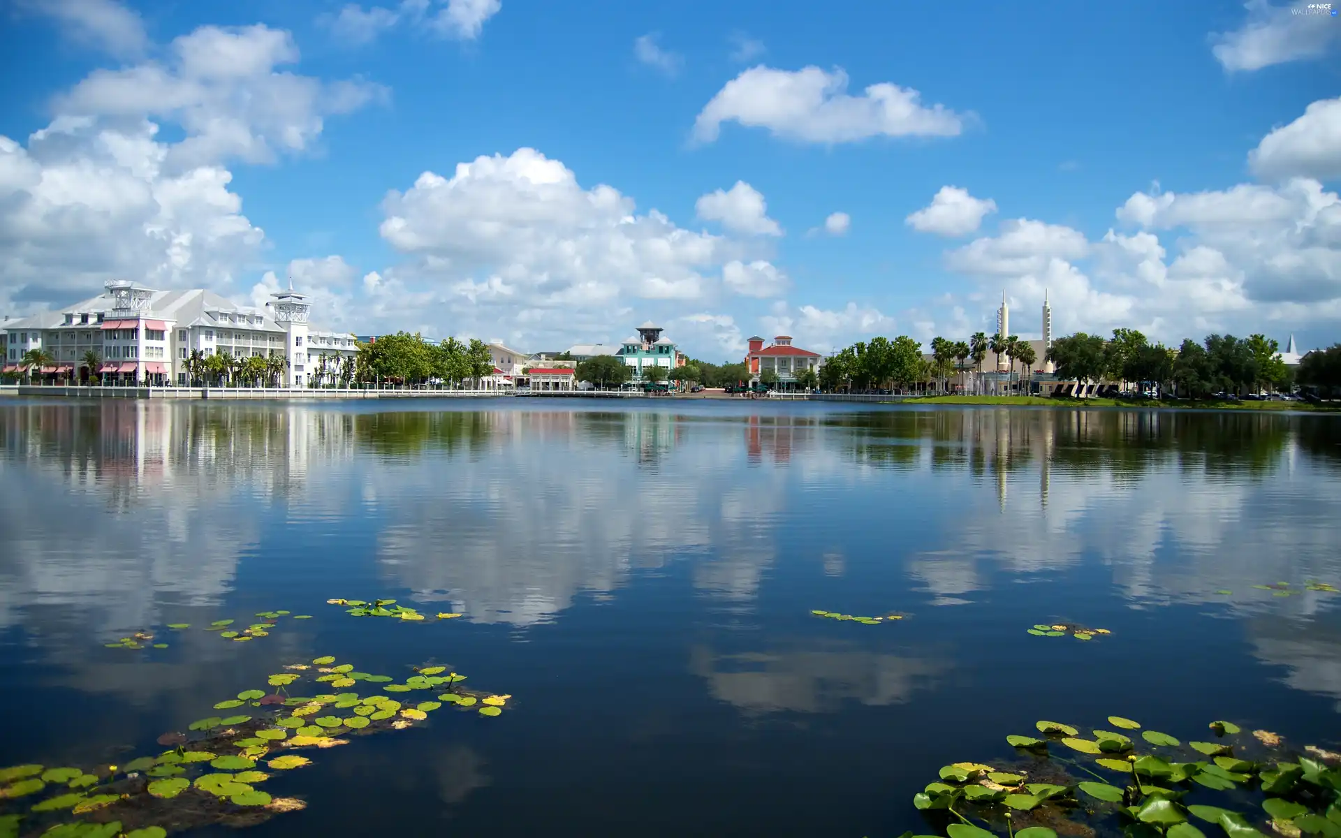 lake, Town, by