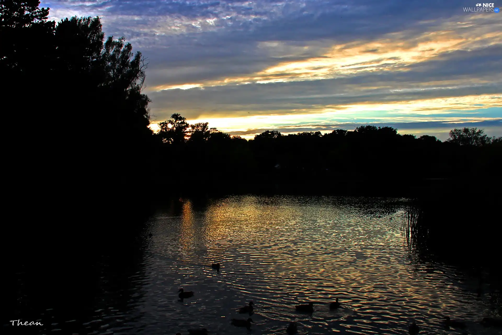 evening, lake