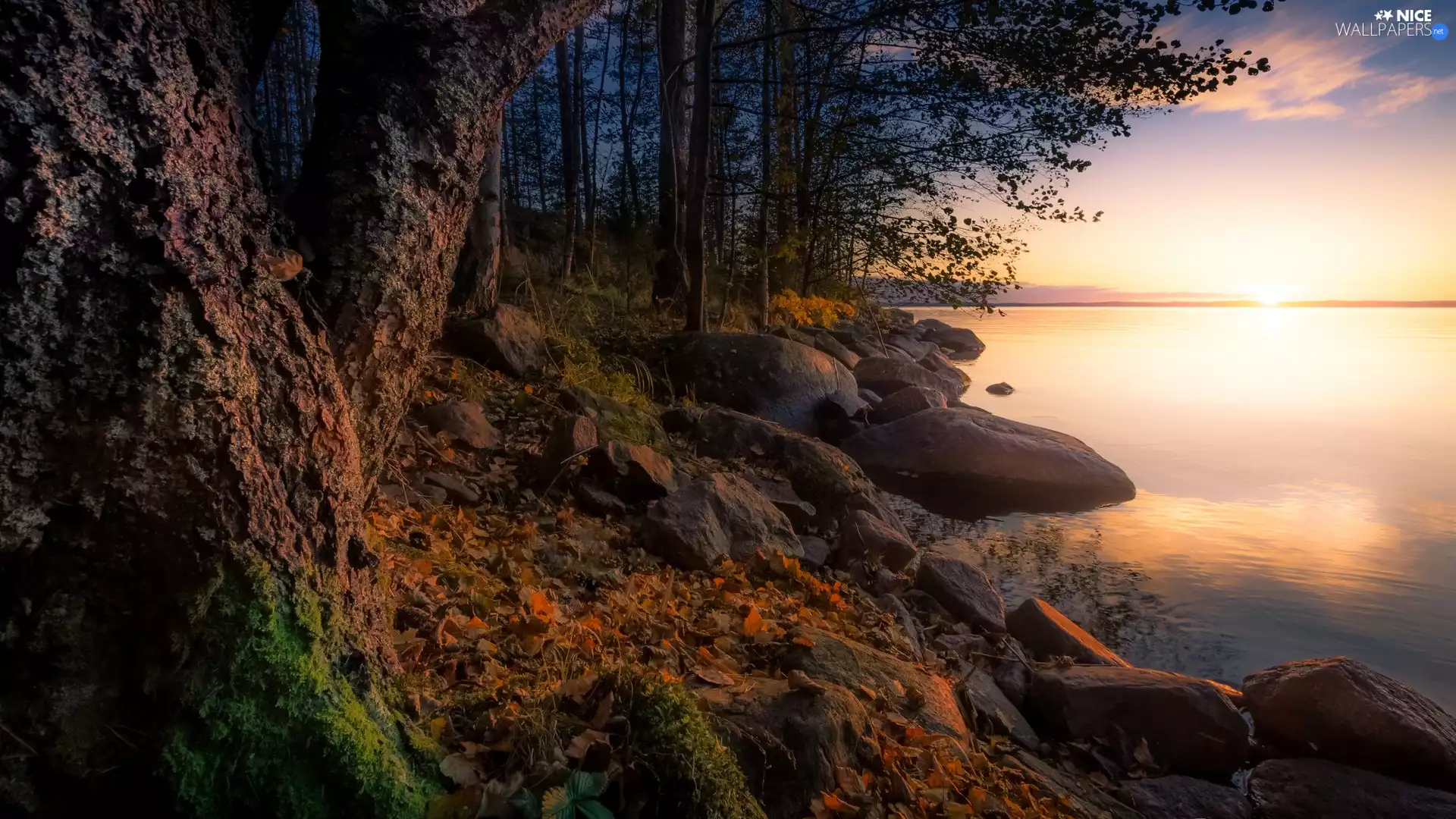 Province of Western Finland, Finland, Pirkanmaa Region, Näsijärvi Lake, viewes, Stones, Sunrise, trees, autumn