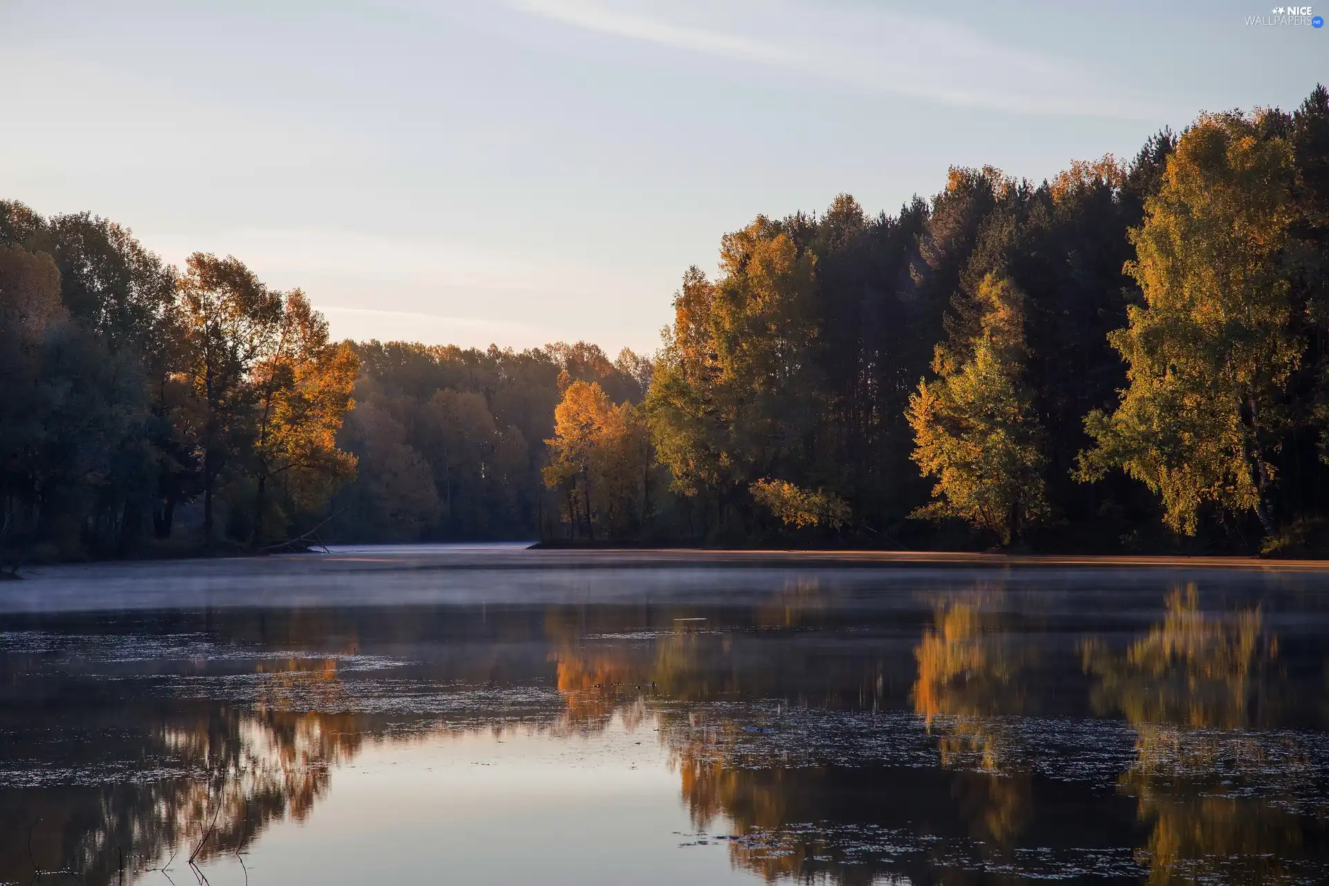 viewes, lake, forest, trees, autumn