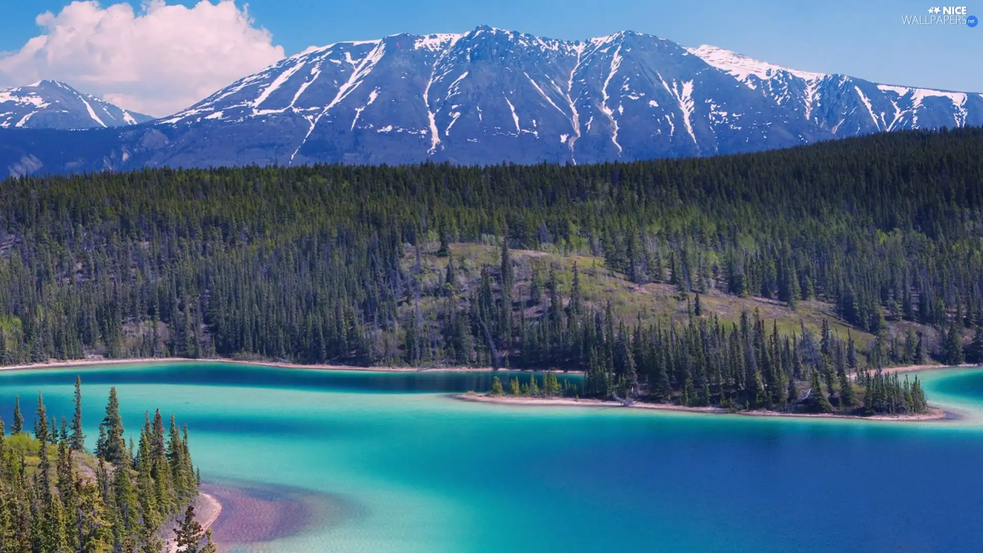 lake, Mountains, forest