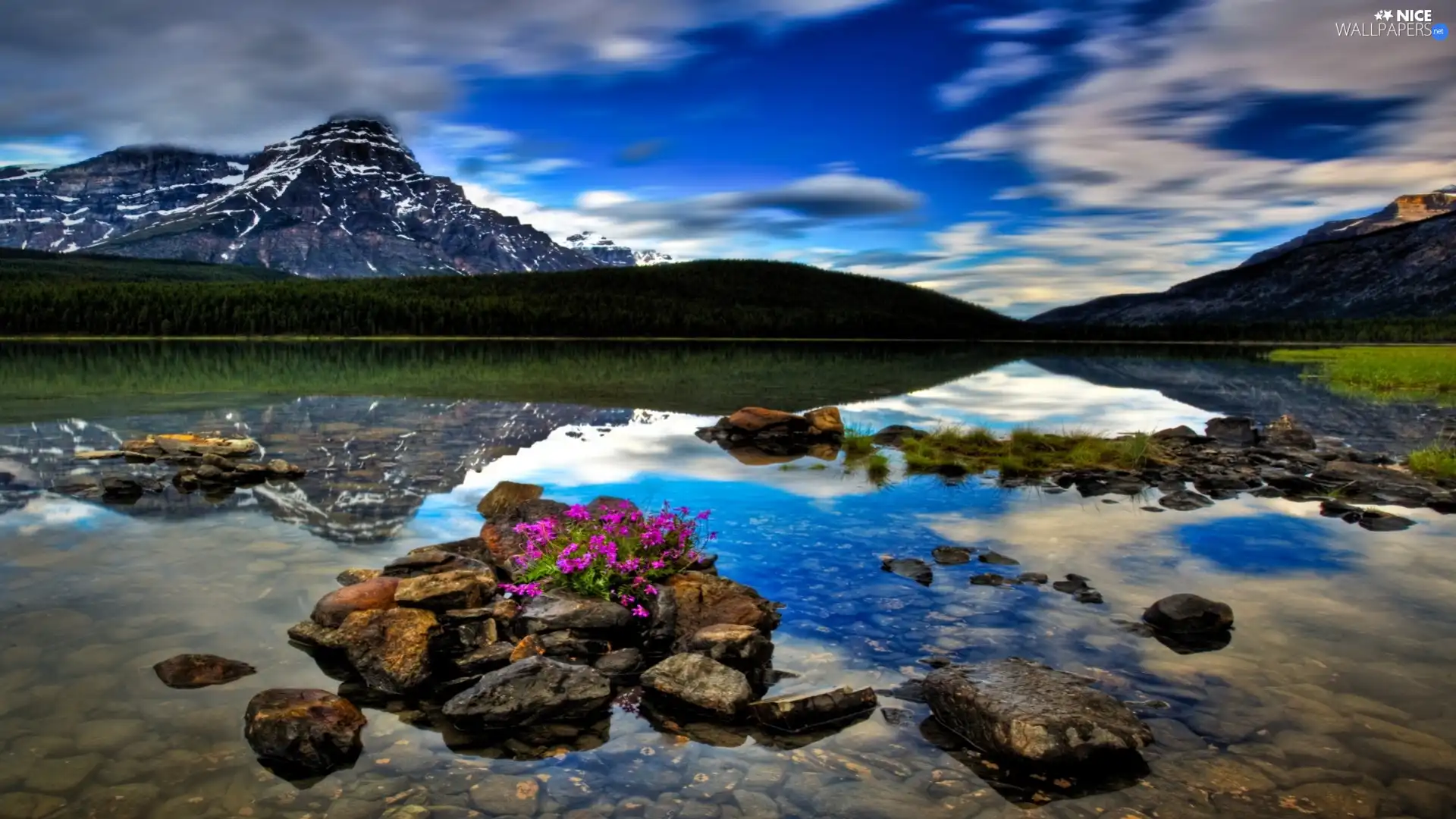 lake, Mountains, forest