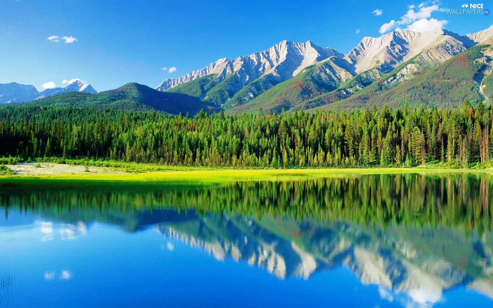 lake, Mountains, forest