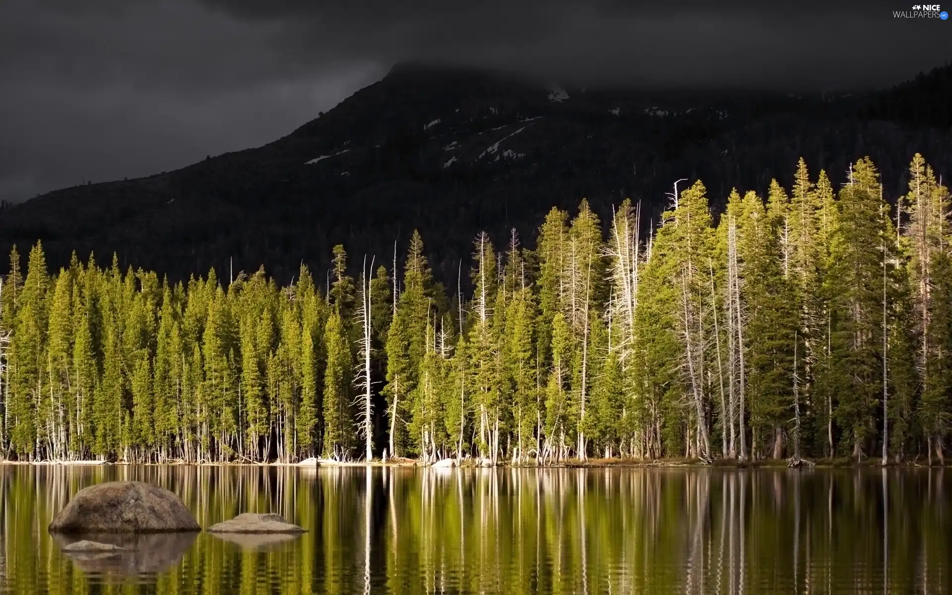 lake, Mountains, forest