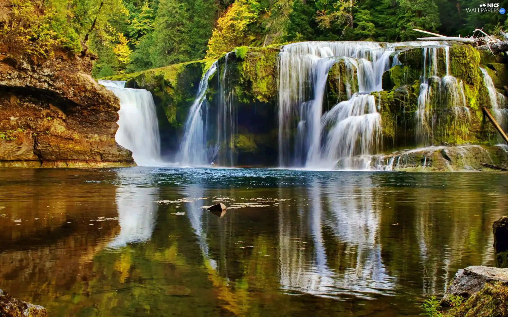 forest, waterfall, lake, rocks
