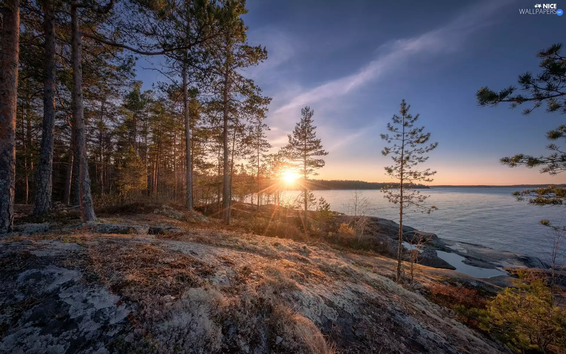 lake, Ladoga, Great Sunsets, trees, rocks, Karelia, Russia, viewes