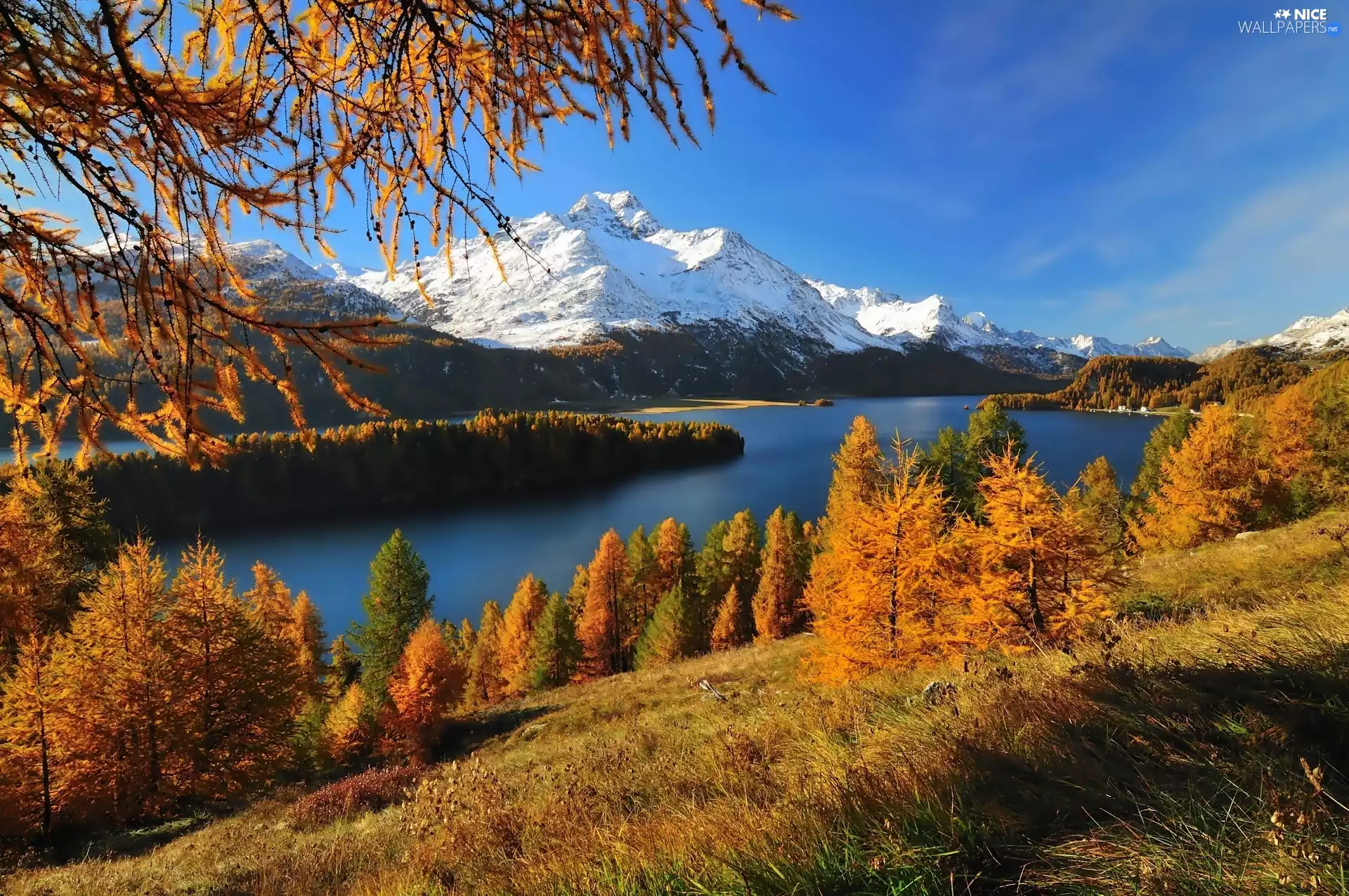 Mountains, woods, Switzerland, lake