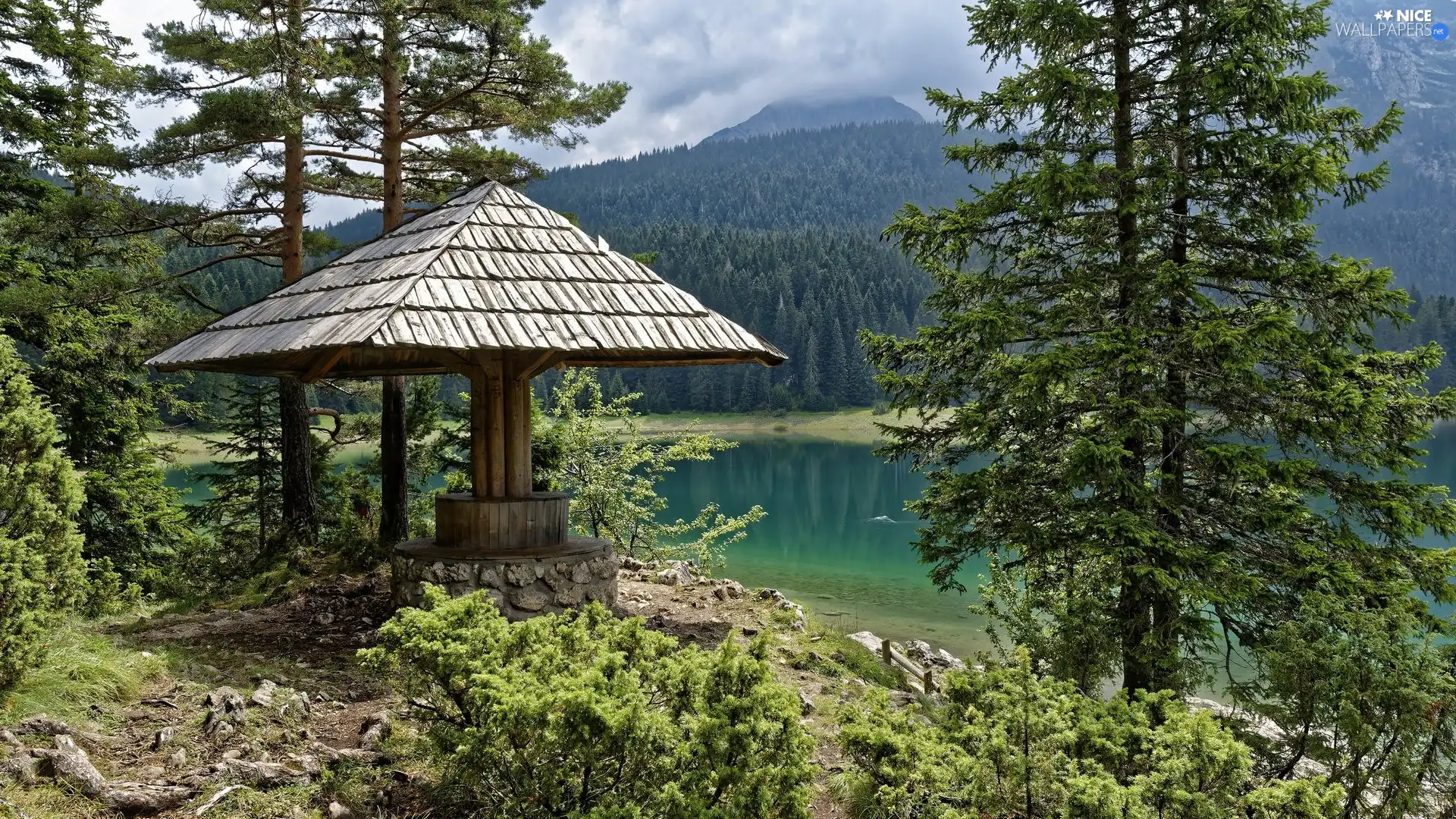 trees, arbour, woods, lake, viewes, Mountains