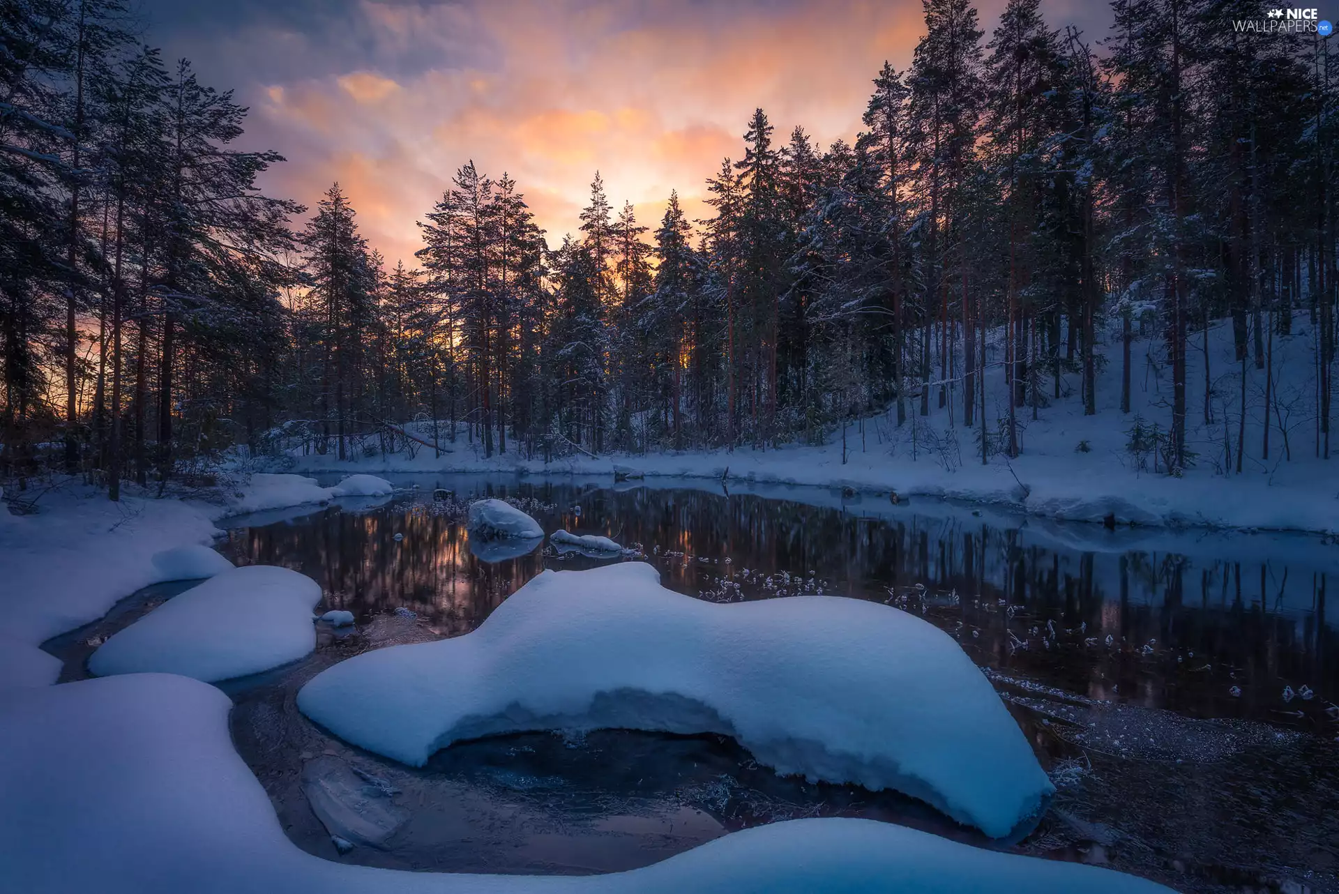viewes, Ringerike Municipality, snow, trees, Norway, winter, lake