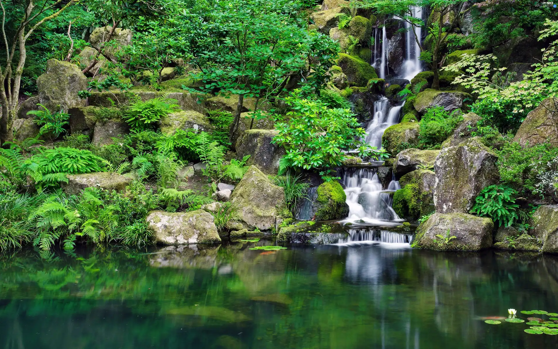 Park, rocks, lake, waterfall