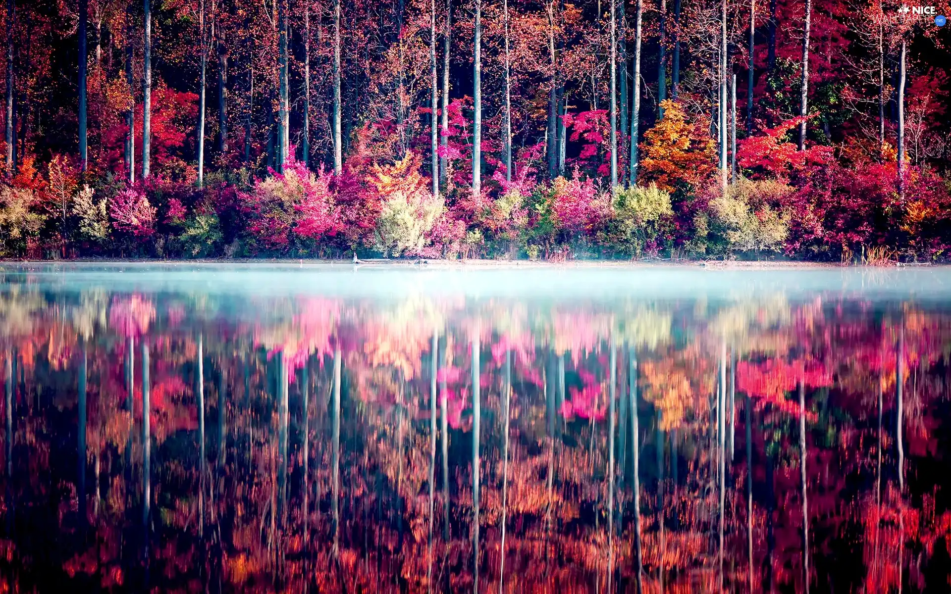 lake, reflection, trees, viewes, color