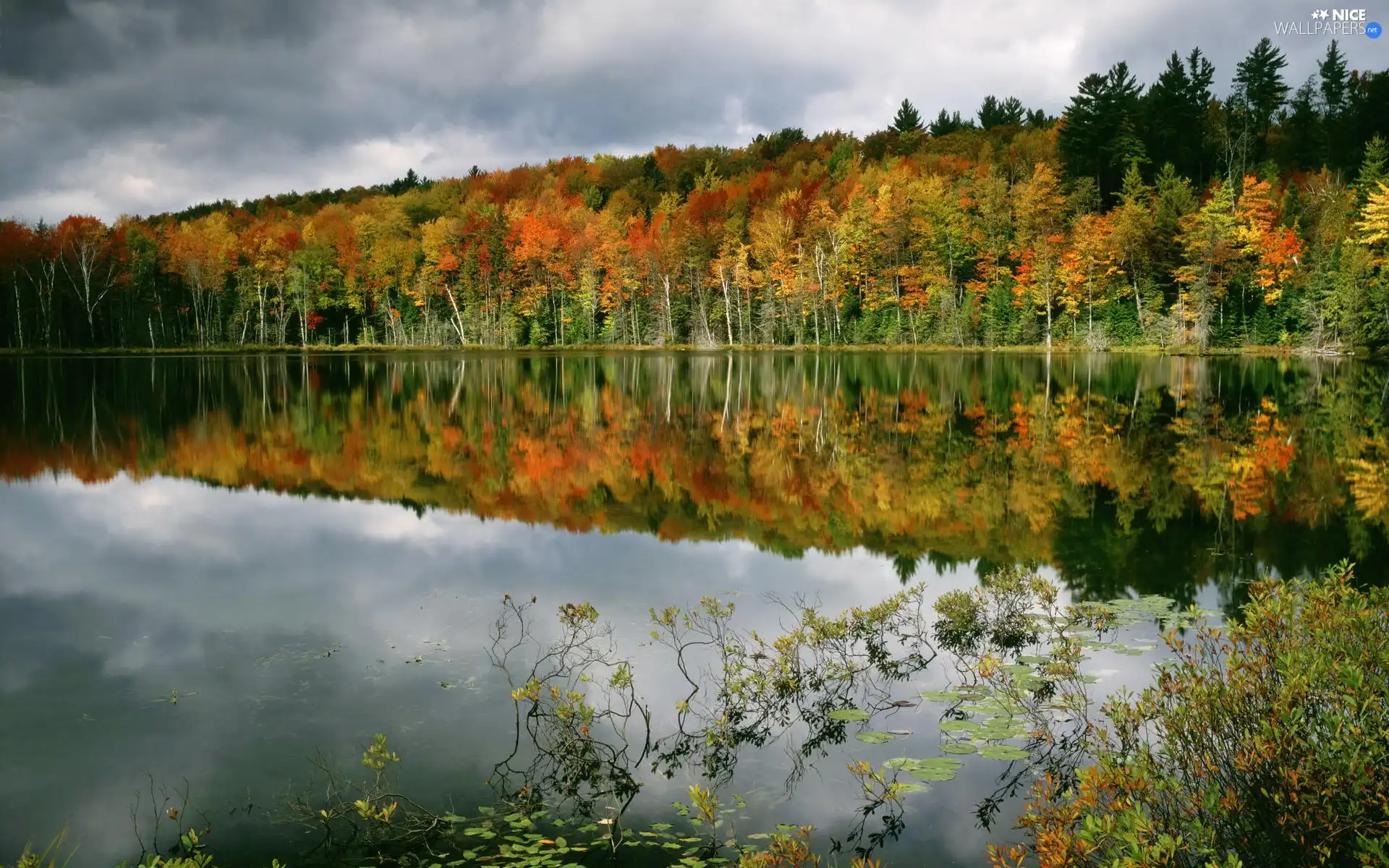 lake, reflection, trees, viewes, rust