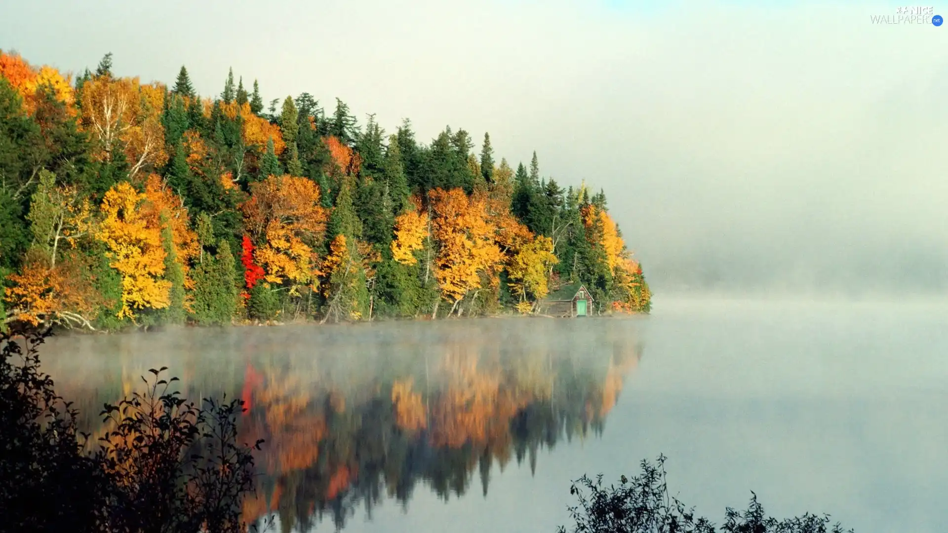 trees, autumn, lake, reflection, viewes, color