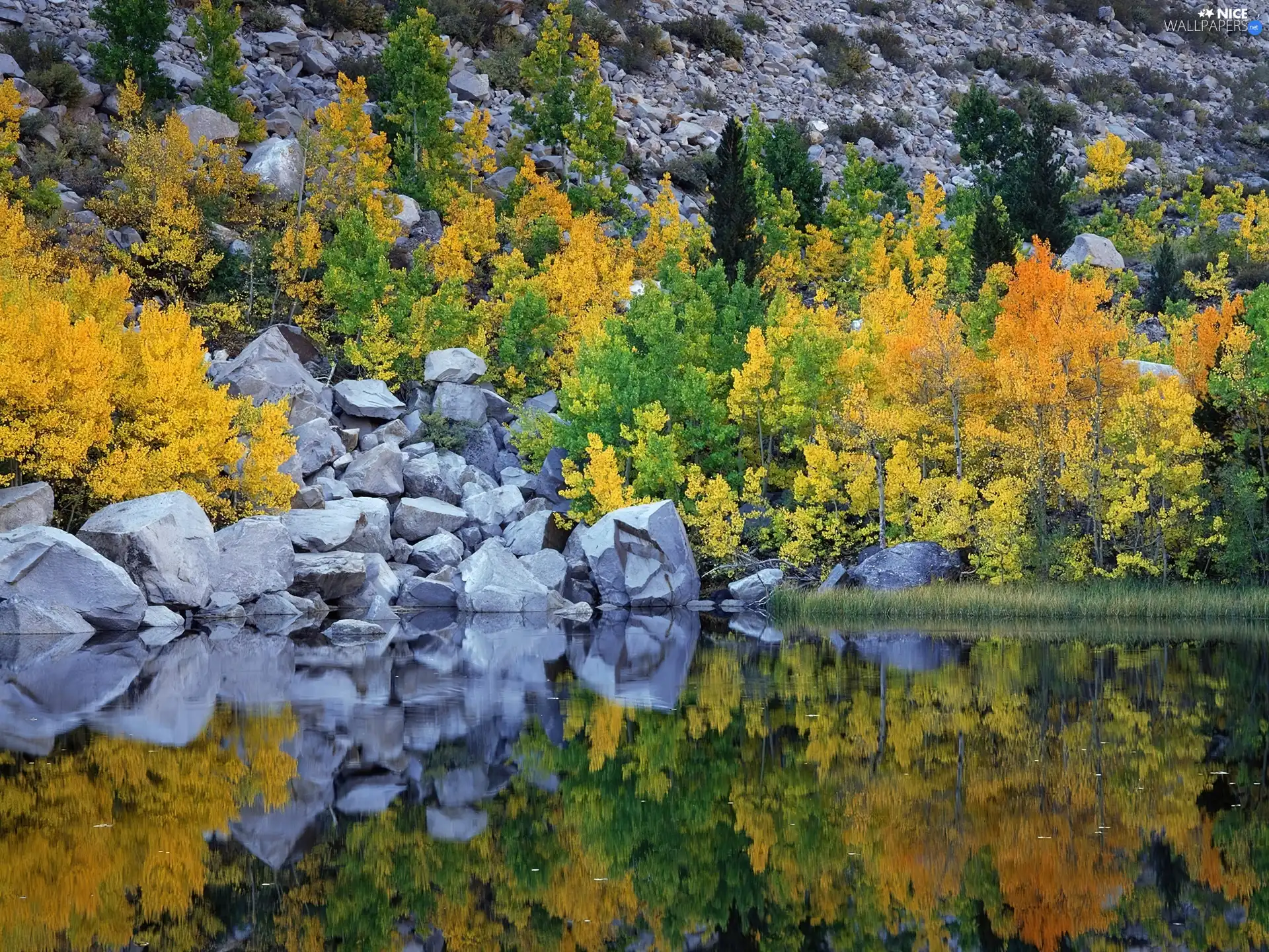 rocks, viewes, lake, trees