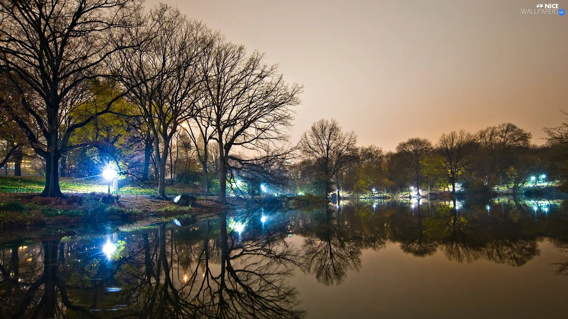 twilight, Park, lake, Floodlit