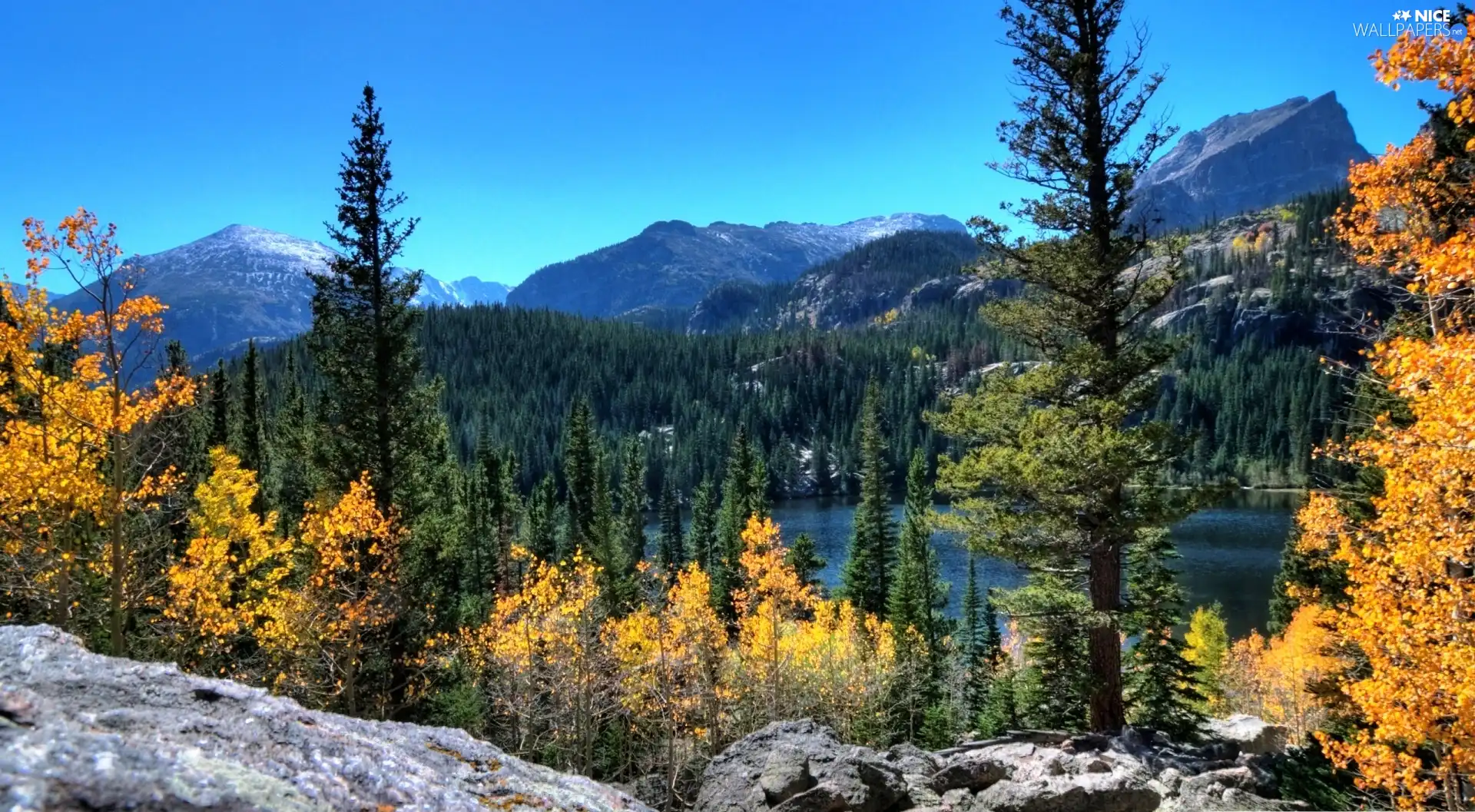 lake, Mountains, woods