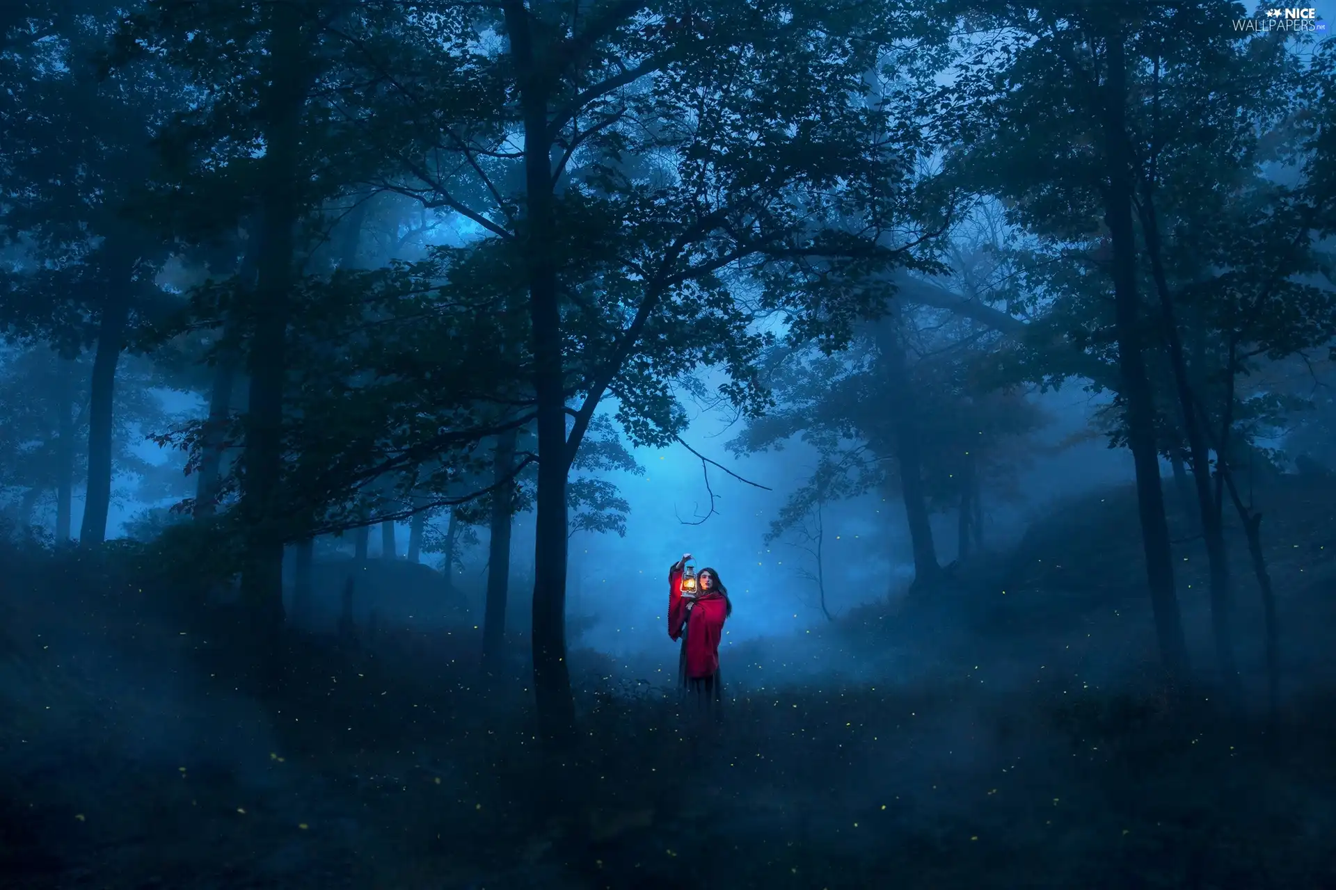 viewes, forest, Lamp, Women, Fog, trees