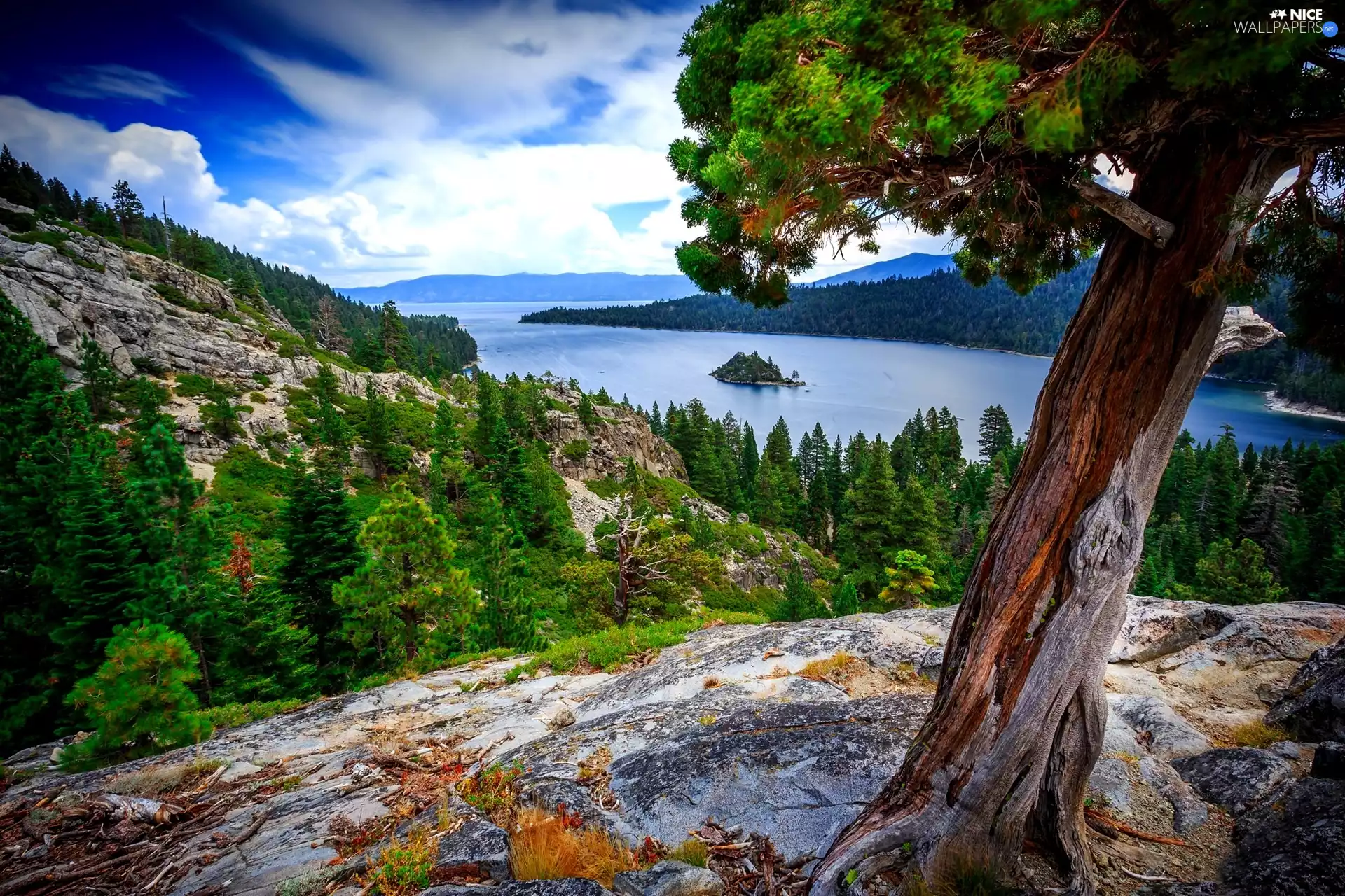 trees, landscape, Island, rocks, lake