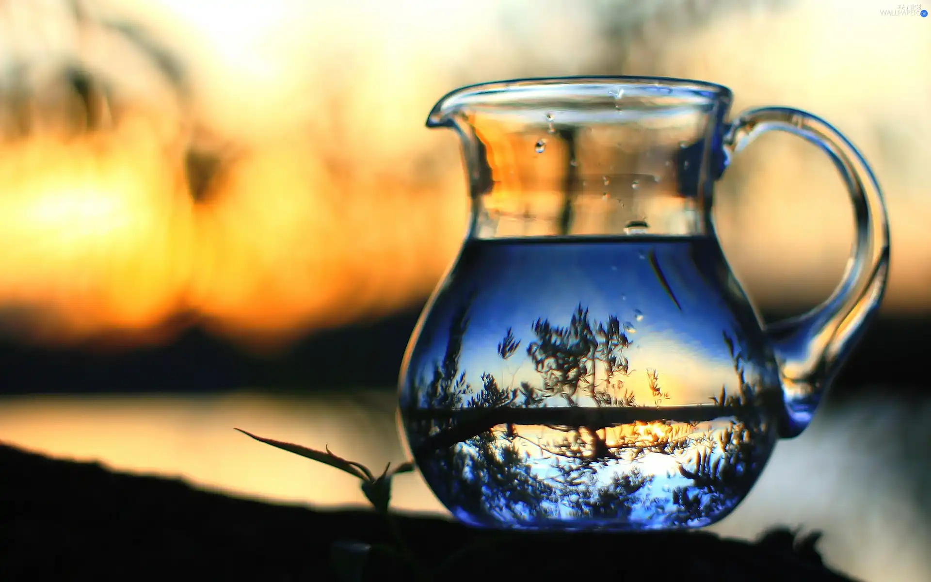 landscape, jug, water