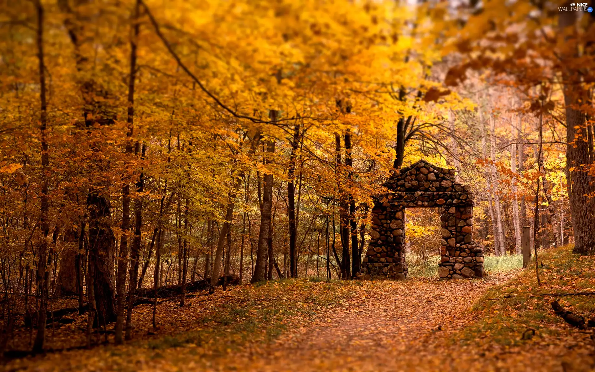 stone, forest, lane, Bow