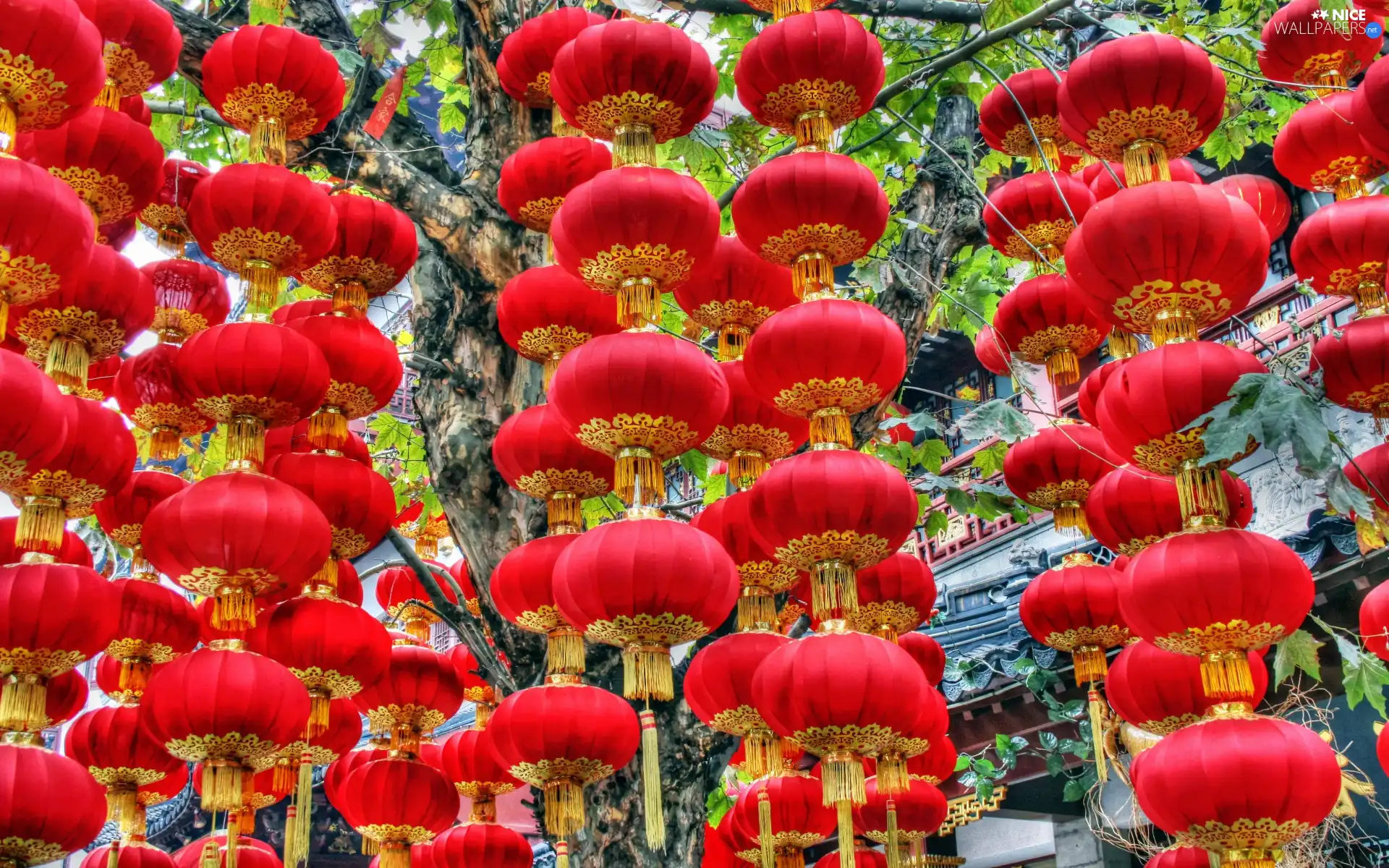 chinese, Lanterns, decoration, Red