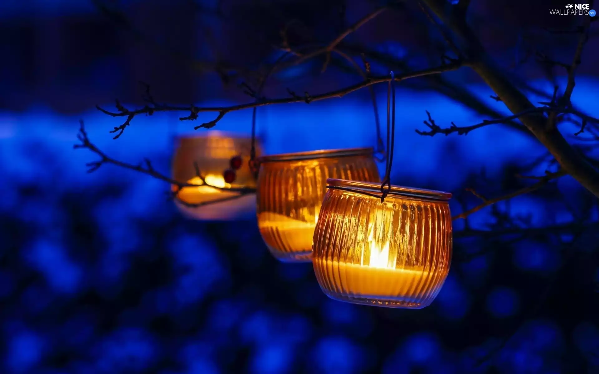 Three, Twigs, Night, Lanterns
